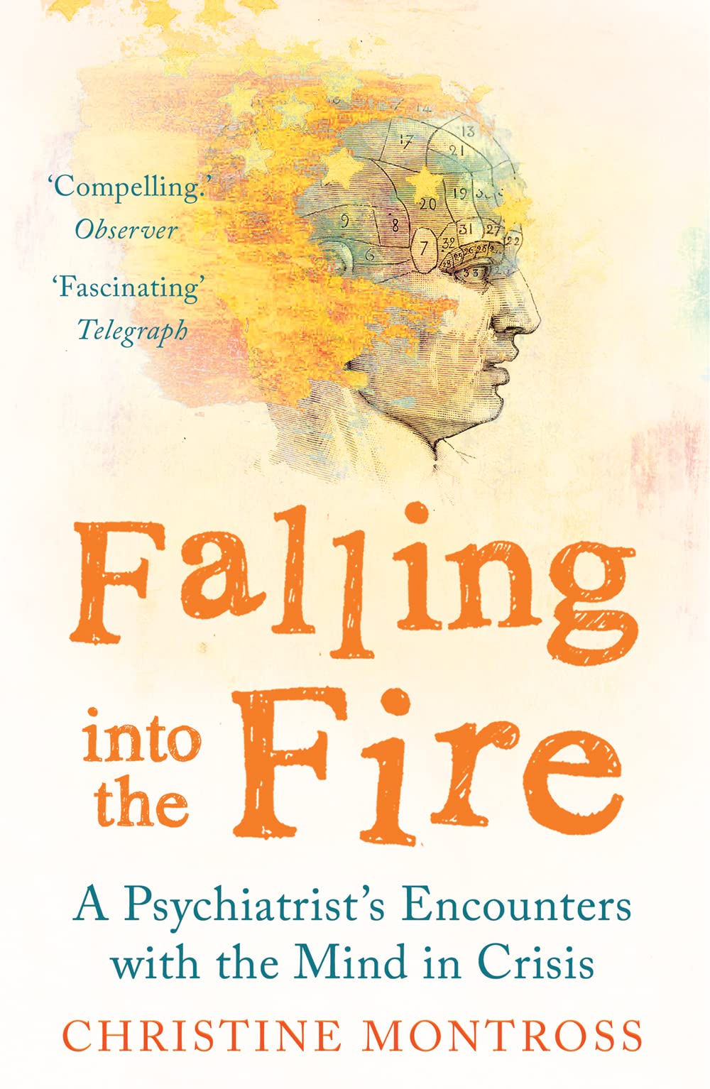 Falling into the Fire: A Psychiatrist's Encounters with the Mind in Crisis Medicine