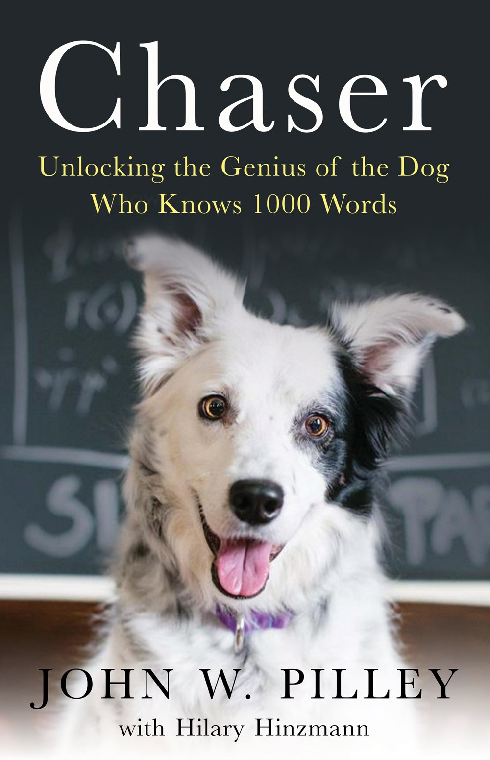 Chaser: Unlocking the Genius of the Dog Who Knows 1000 Words book
