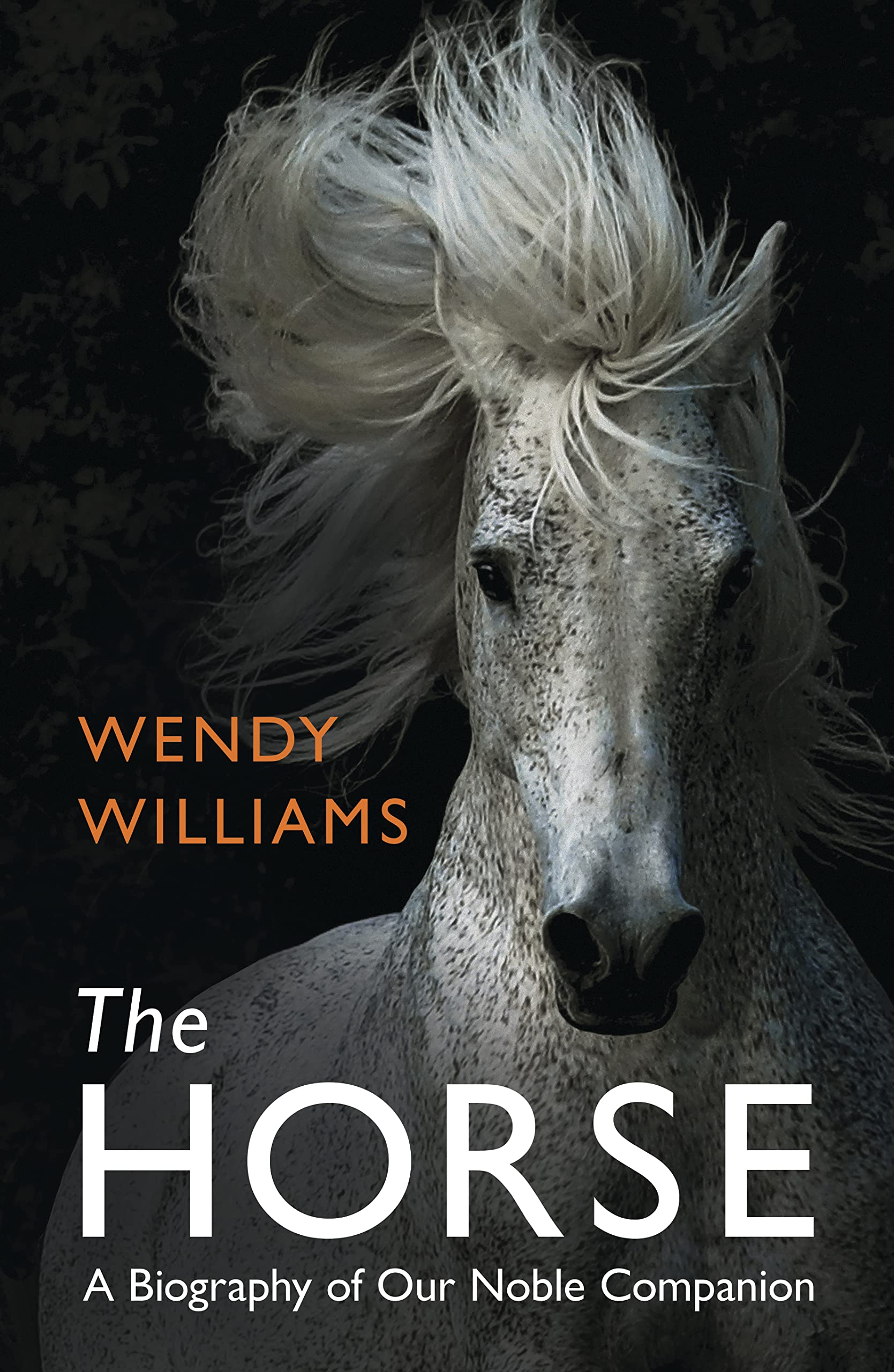 The Horse: A Biography of Our Noble Companion Mathematics