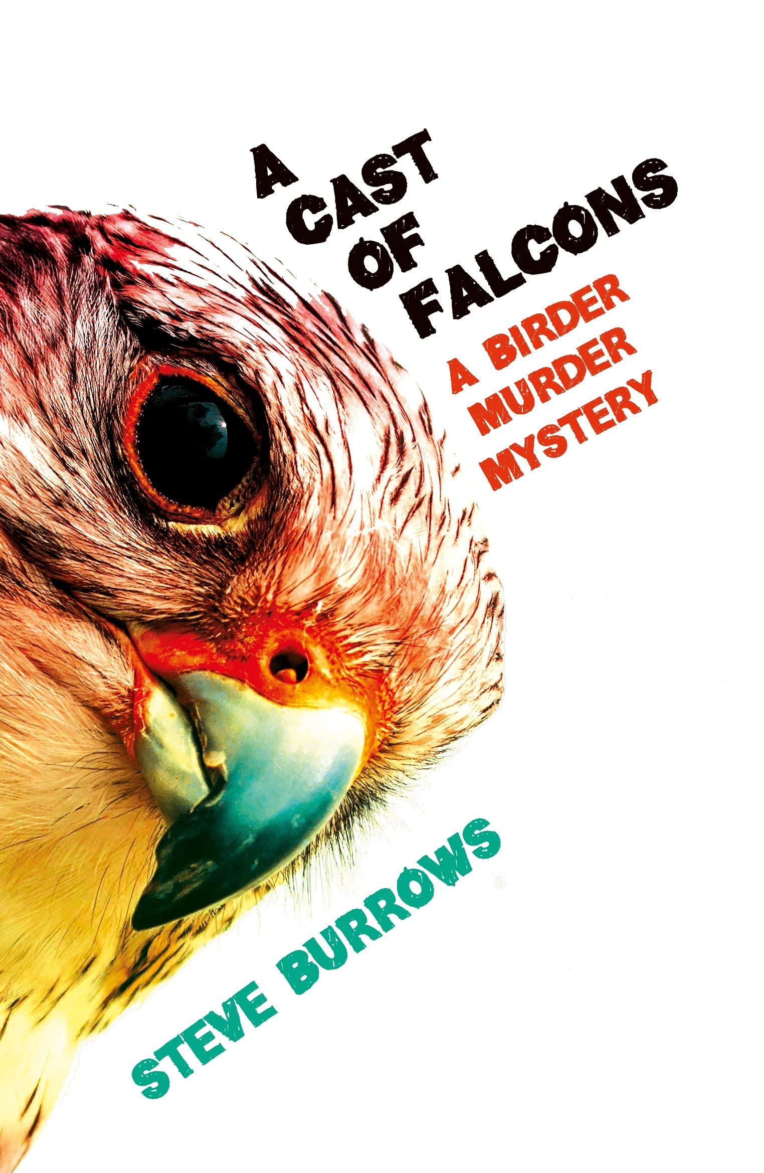 A Cast of Falcons: A Birder Murder Mystery 03 Contemporary literature