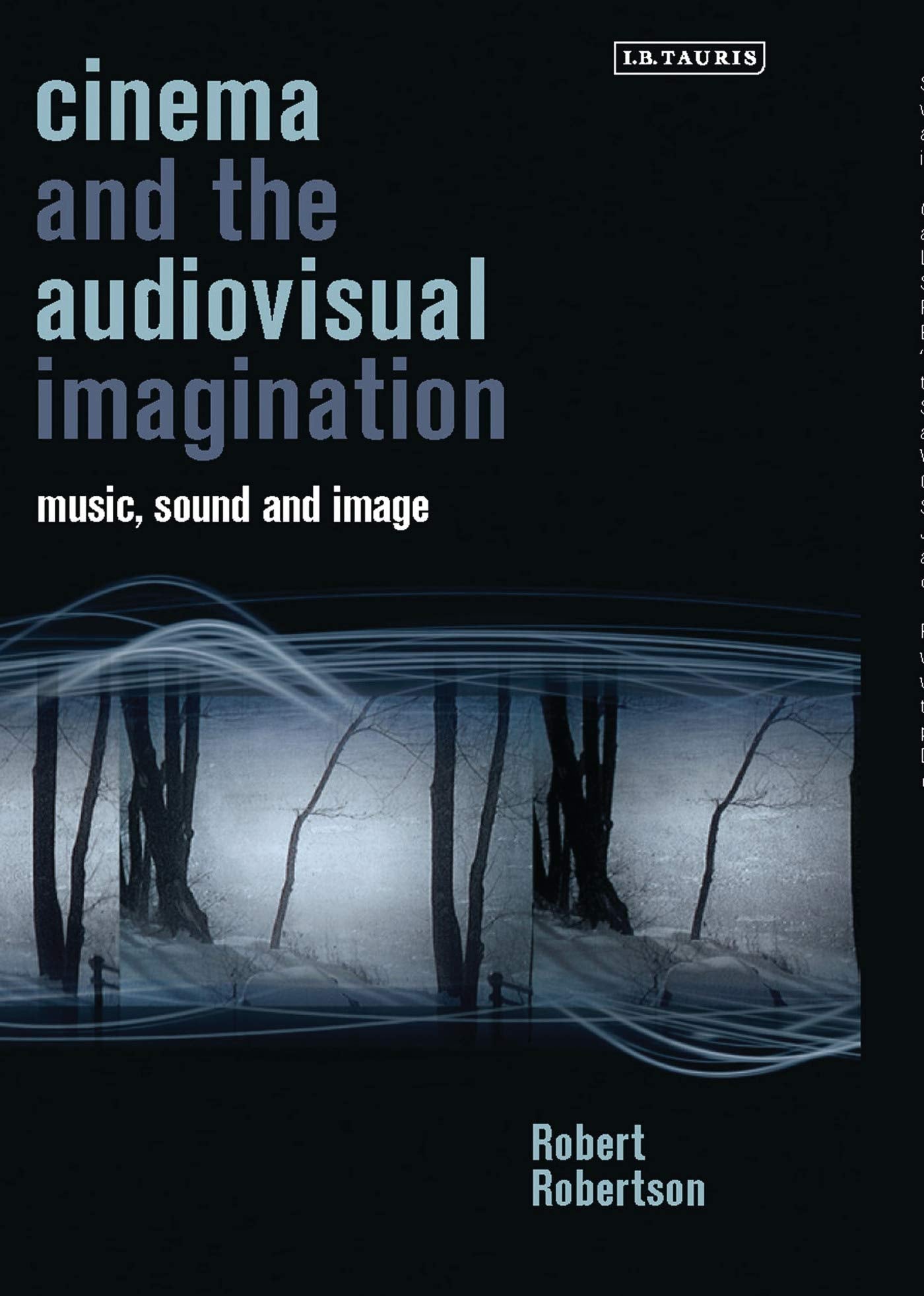 Cinema and the Audiovisual Imagination Film, Art & Culture