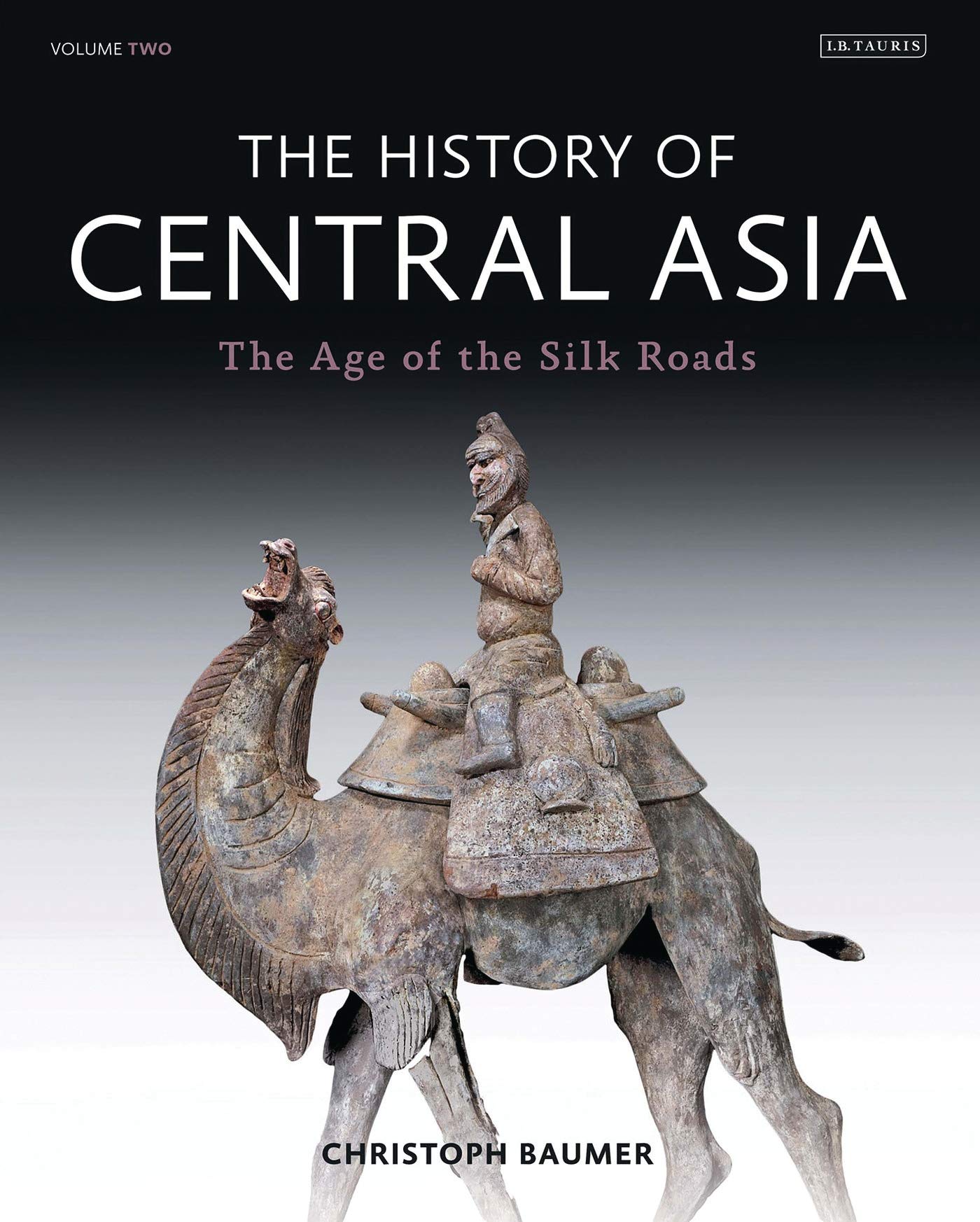 The History of Central Asia: The Age of the Silk Roads Politics & History