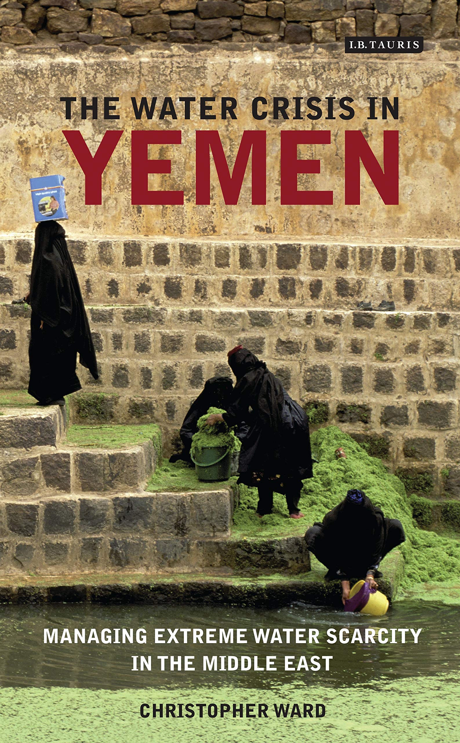 The Water Crisis in Yemen: Managing Extreme Water Scarcity in the Middle East (International Library of Human Geography) Business, Finance & Career