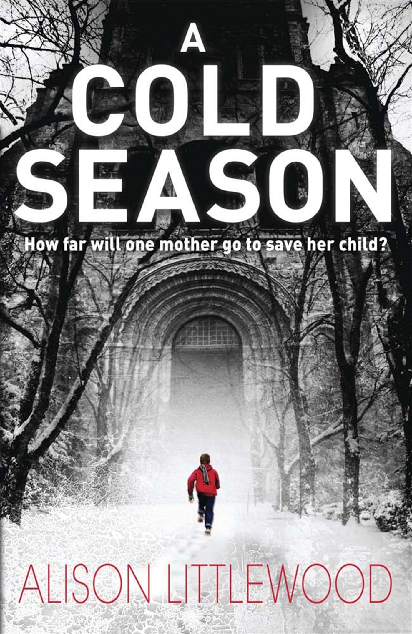 A Cold Season: The Chilling Richard and Judy Bestseller! (The Cold) Horror & Mystery