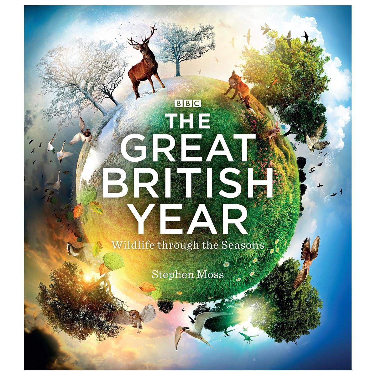 The Great British Year: Wildlife Through the Seasons Mathematics