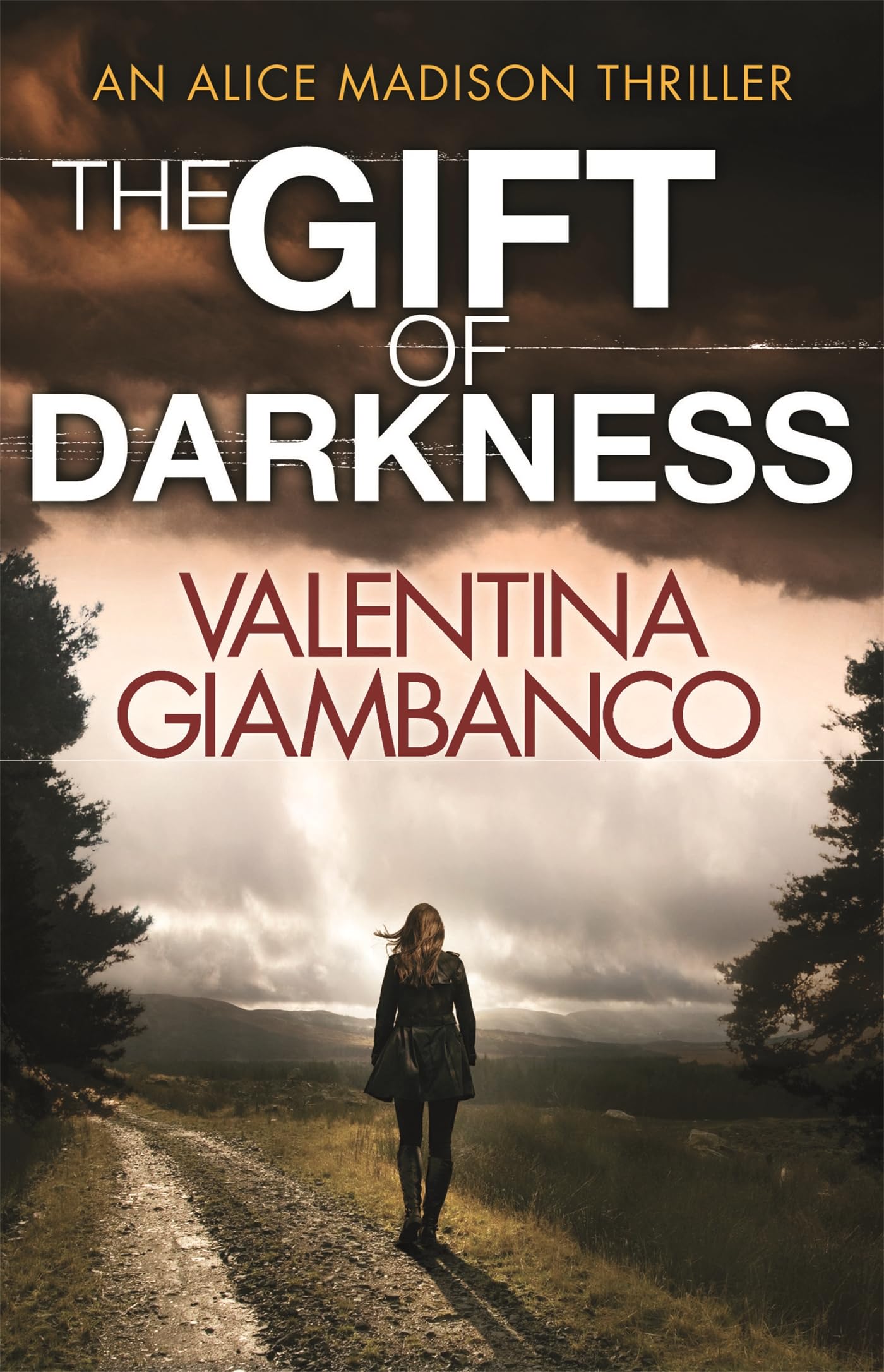 The Gift of Darkness: Detective Alice Madison (1) Contemporary literature
