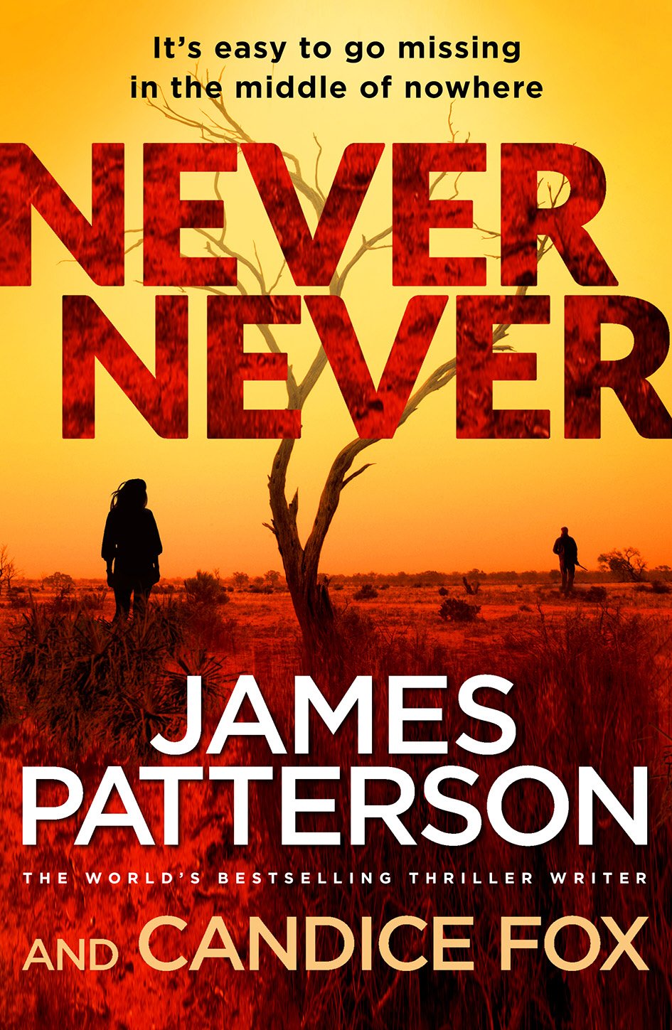 Never Never: (Harriet Blue 1) (Detective Harriet Blue Series, Band 1) Contemporary literature