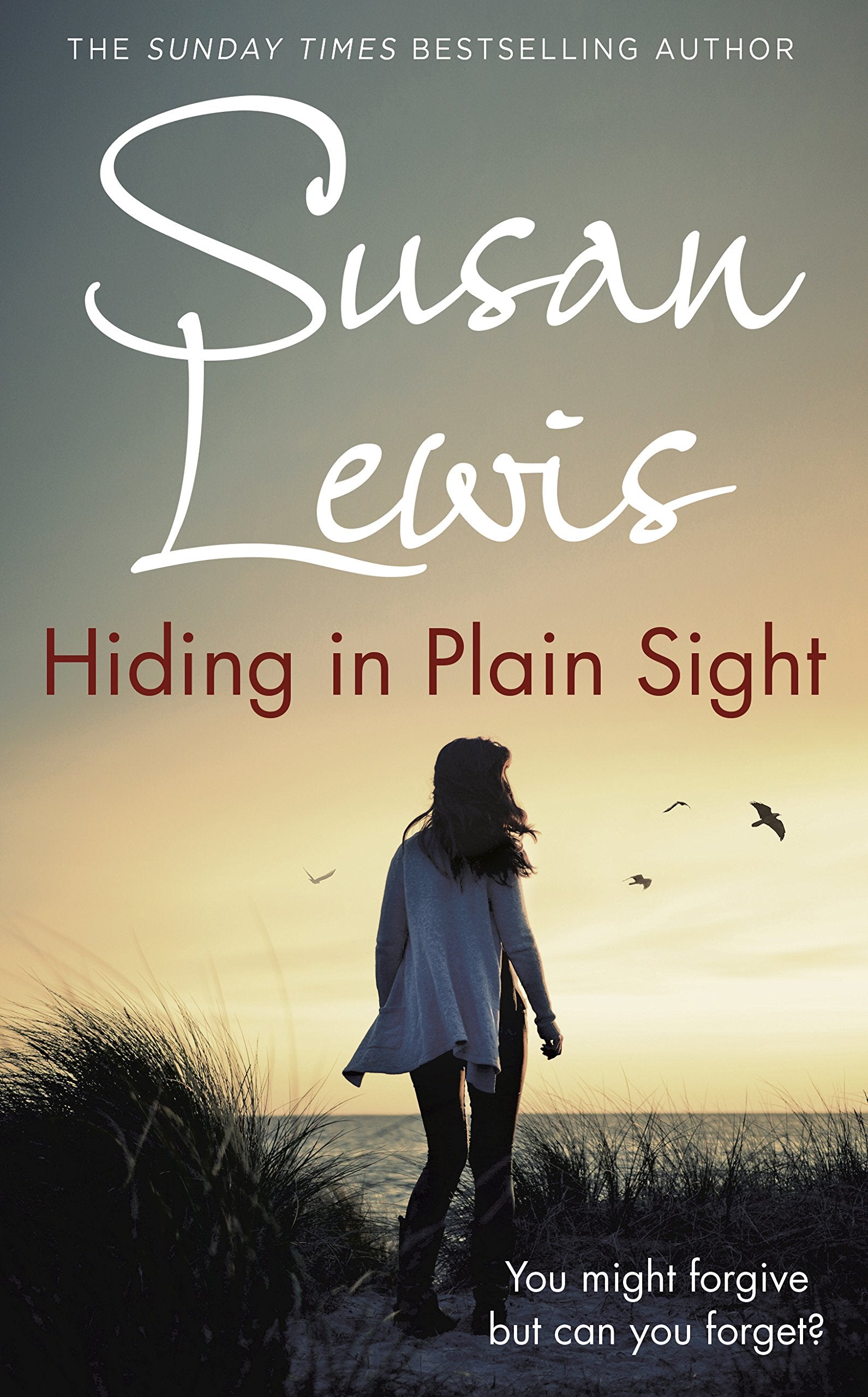 Hiding in Plain Sight: Lewis Susan (The Detective Andee Lawrence Series) Contemporary literature