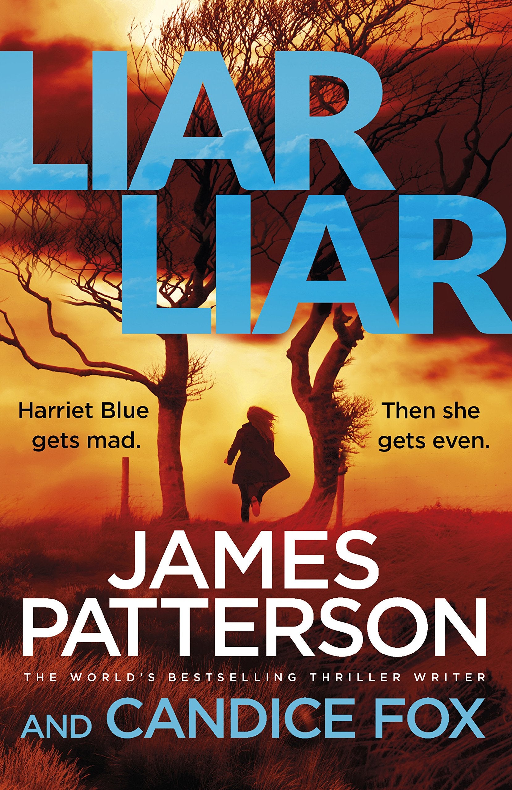 Liar Liar: (Harriet Blue 3) (Detective Harriet Blue Series) Contemporary literature