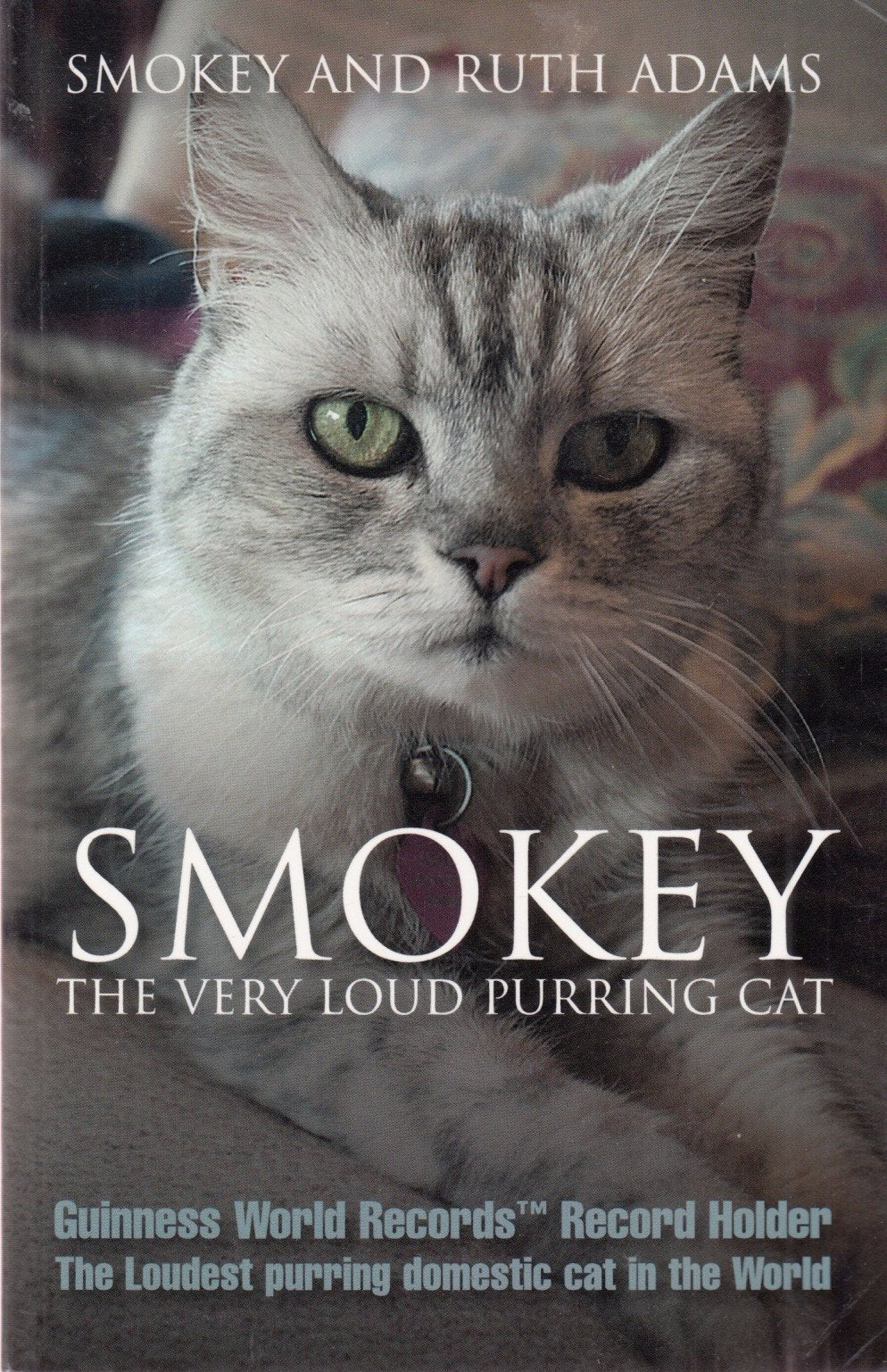Smokey the very loud Purring cat: The Loudest Purring Domestic Cat in the World Pets