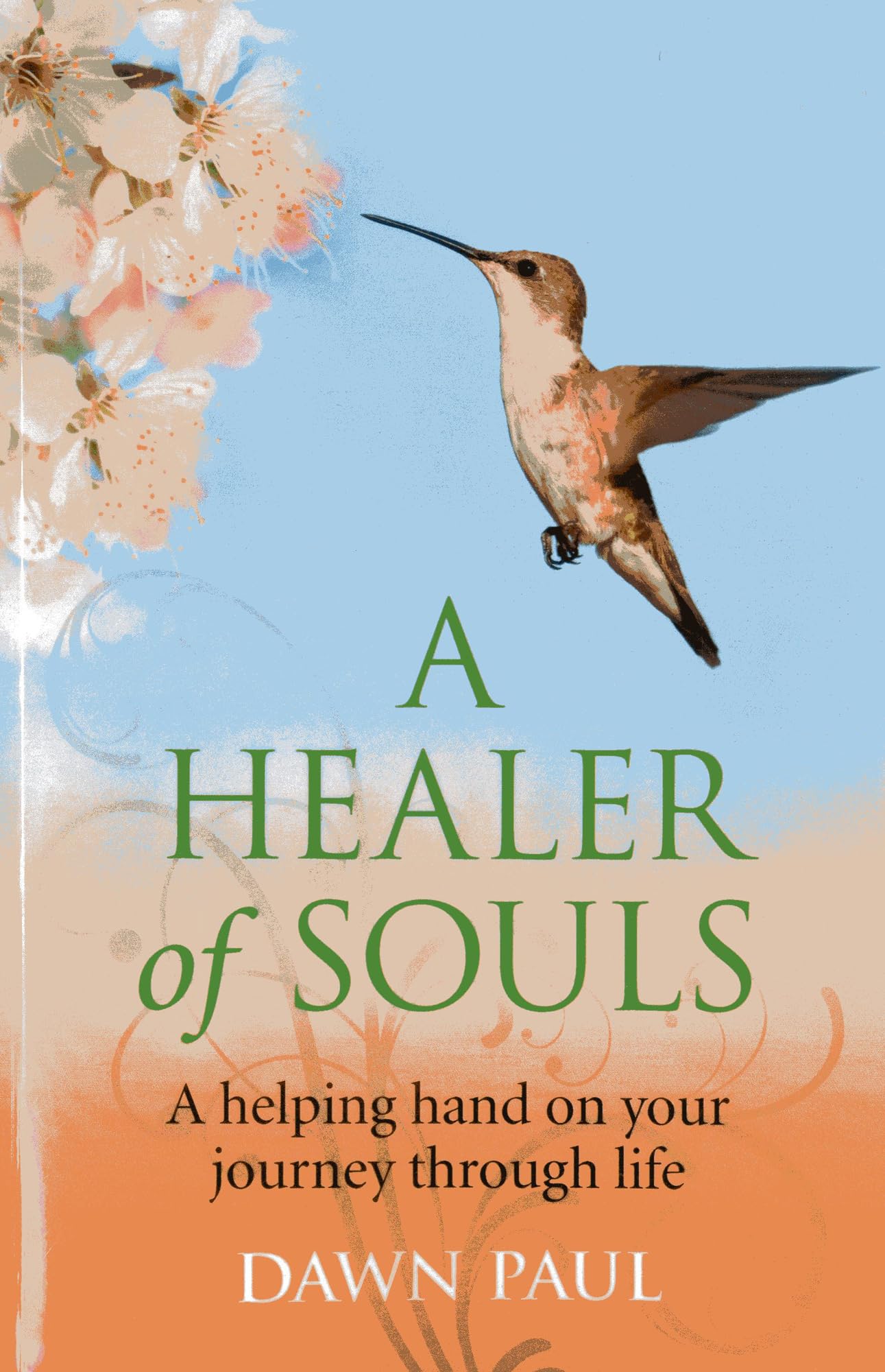 A Healer of Souls book