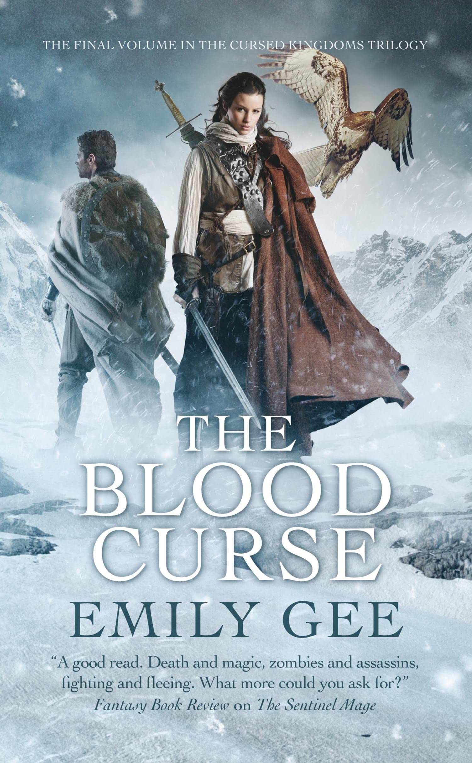 The Blood Curse (Volume 3) (Cursed Kingdoms Trilogy, Band 3) Action & Adventure