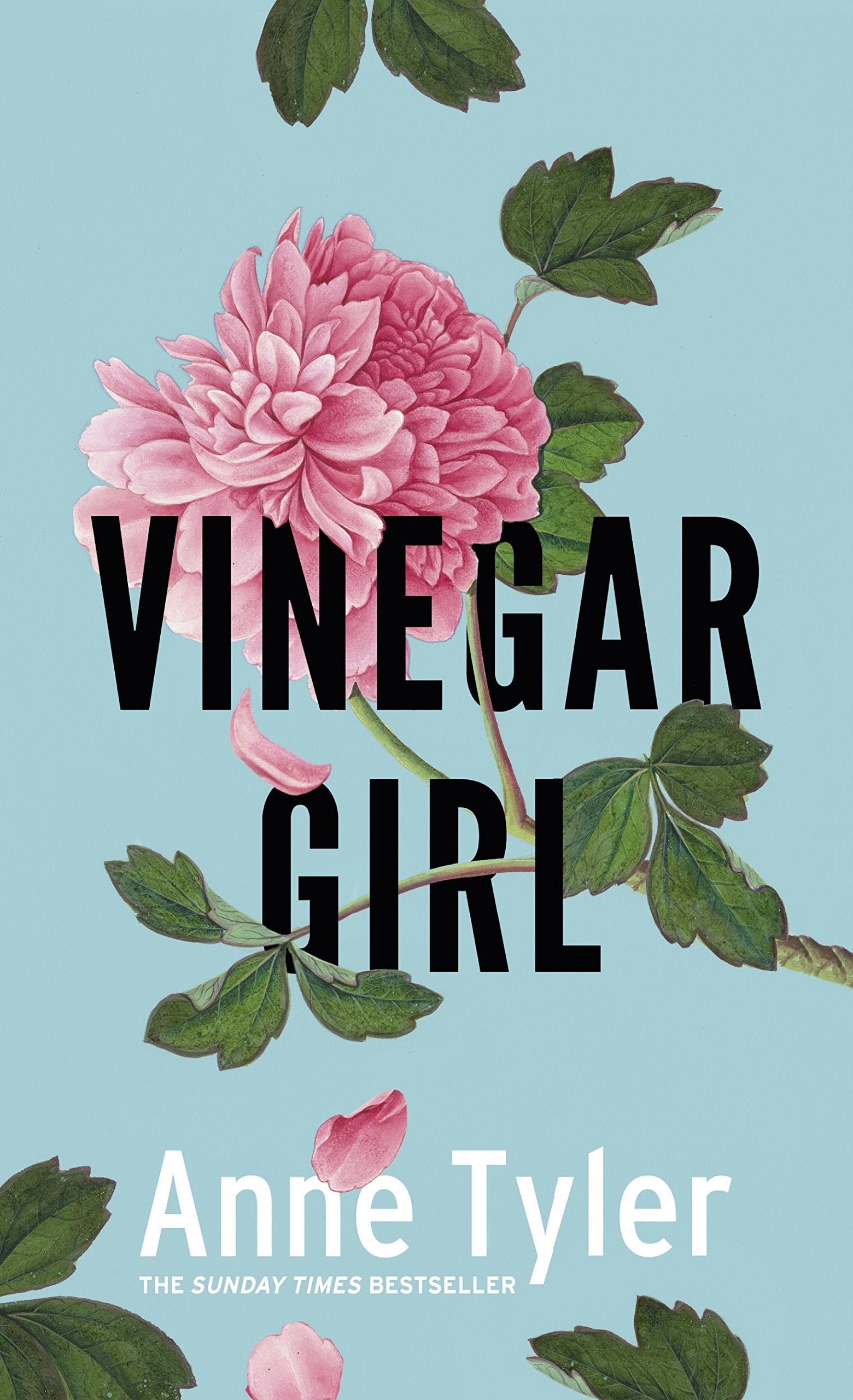 Vinegar Girl: The Taming of the Shrew Retold (Hogarth Shakespeare) Drama