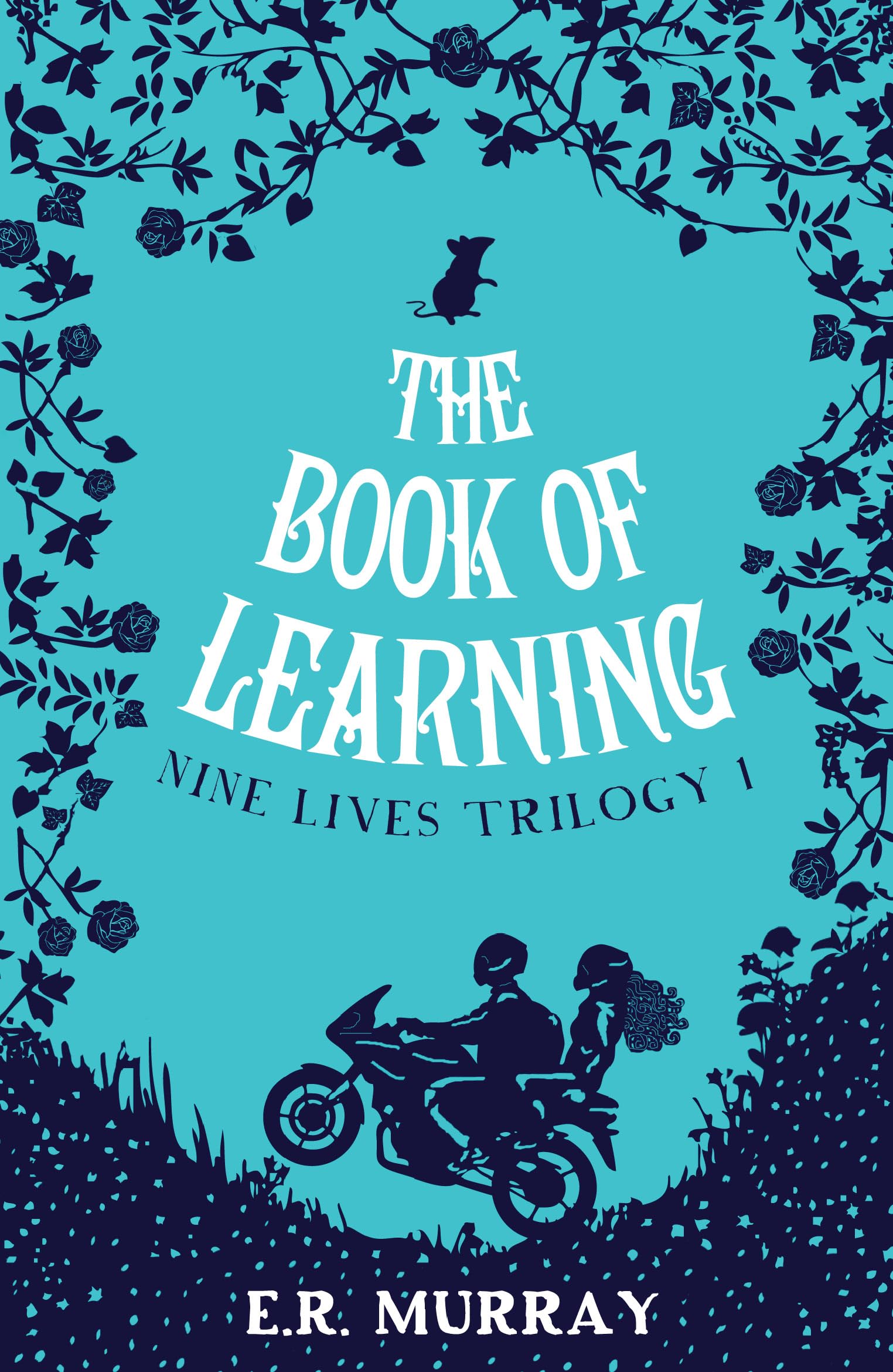 The Book of Learning Novels & Short Stories for children