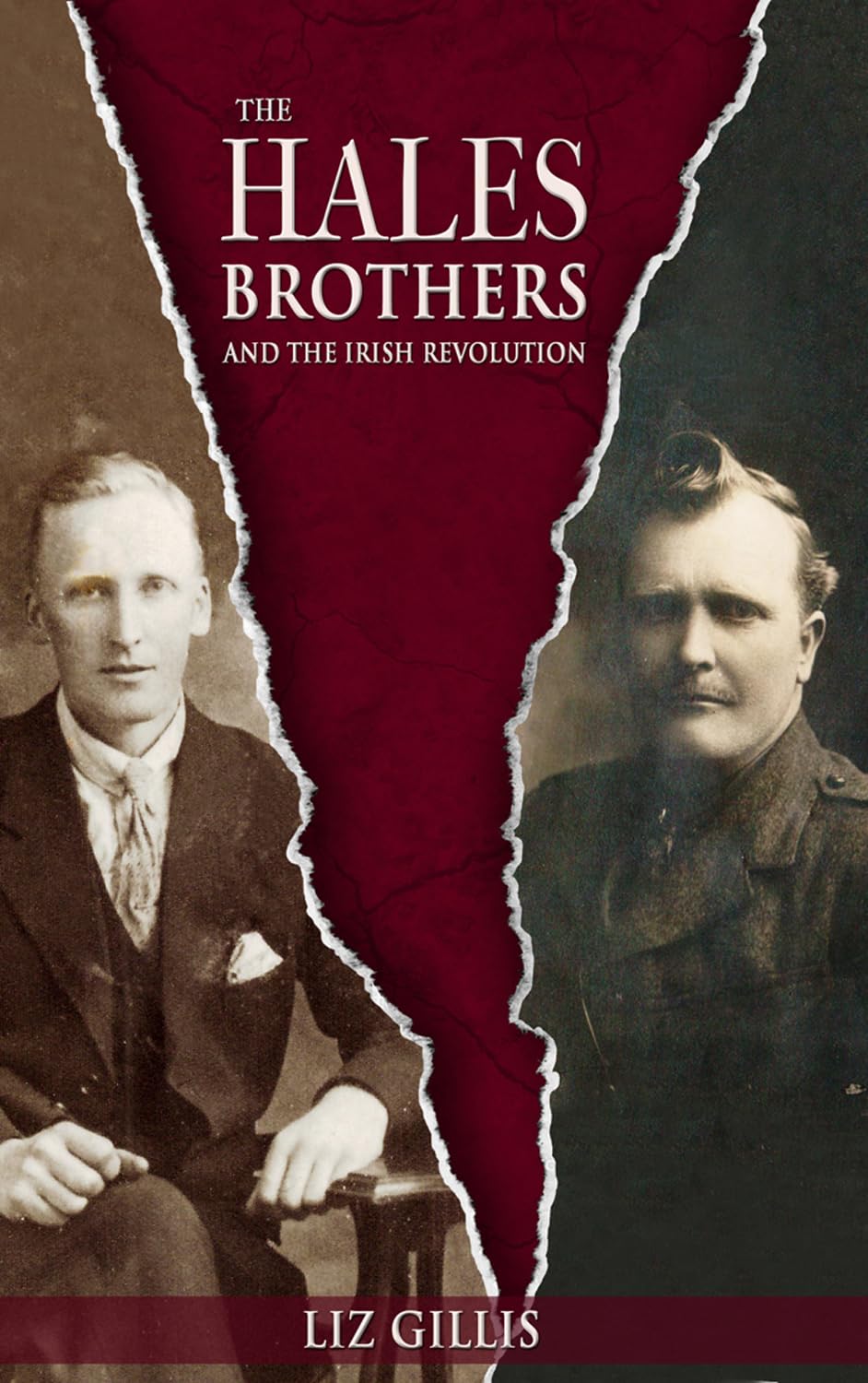 The Hales Brothers and the Irish Revolution book