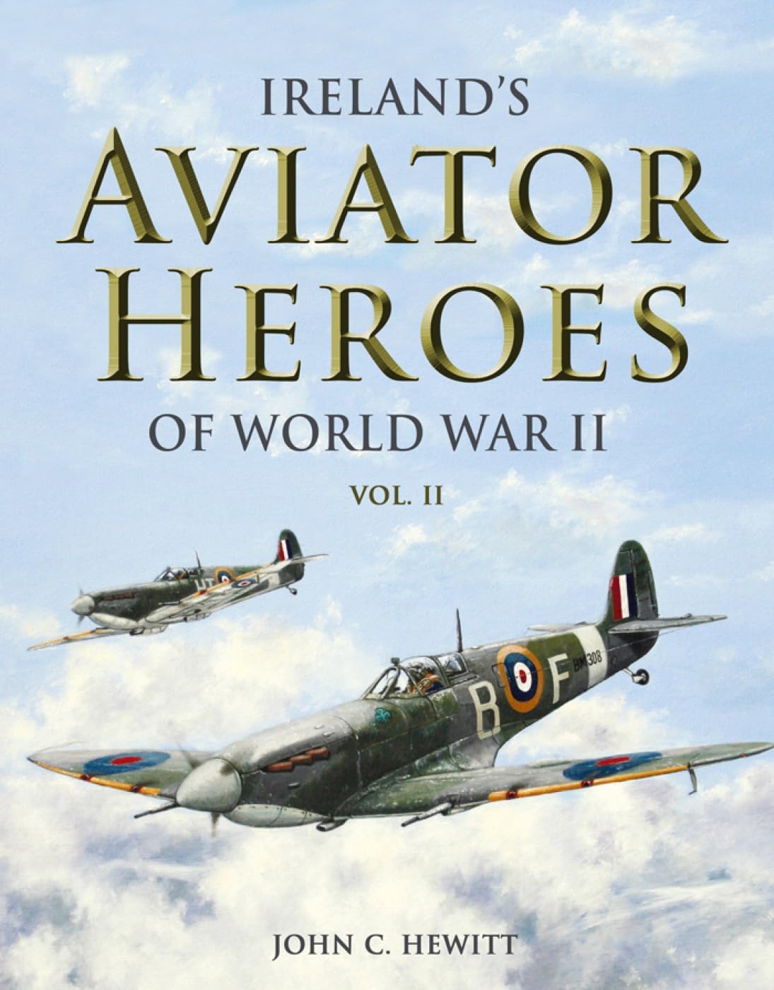 Ireland's Aviator Heroes of World War II (Ireland's Aviator Heroes of World War II, Vol II) Social Sciences