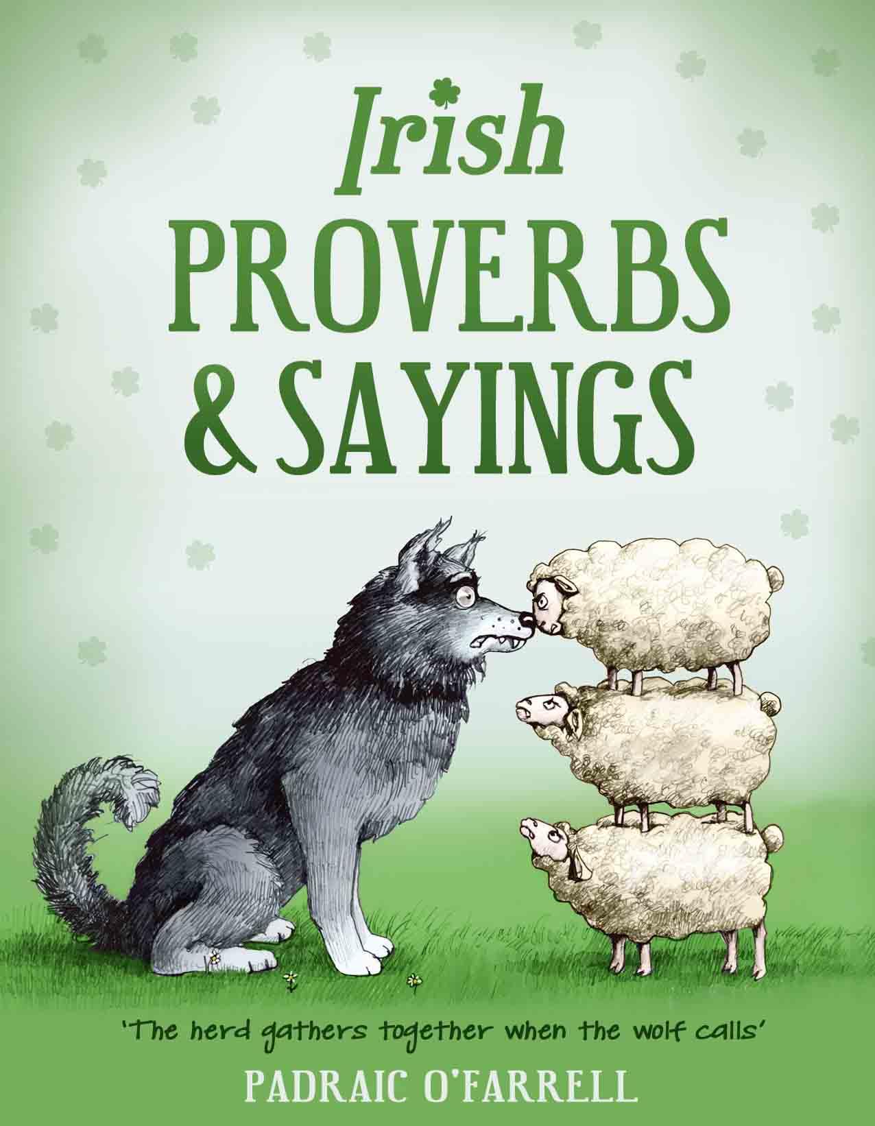 Irish Proverbs and Sayings Social Sciences Books