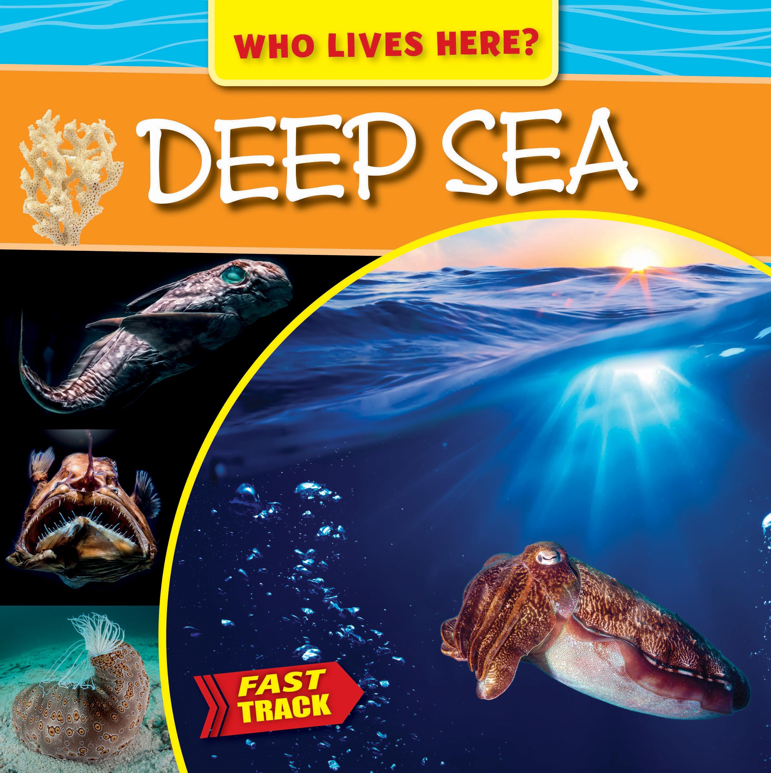 Deep Sea (Who Lives Here?: Fast Track) Business & Technology