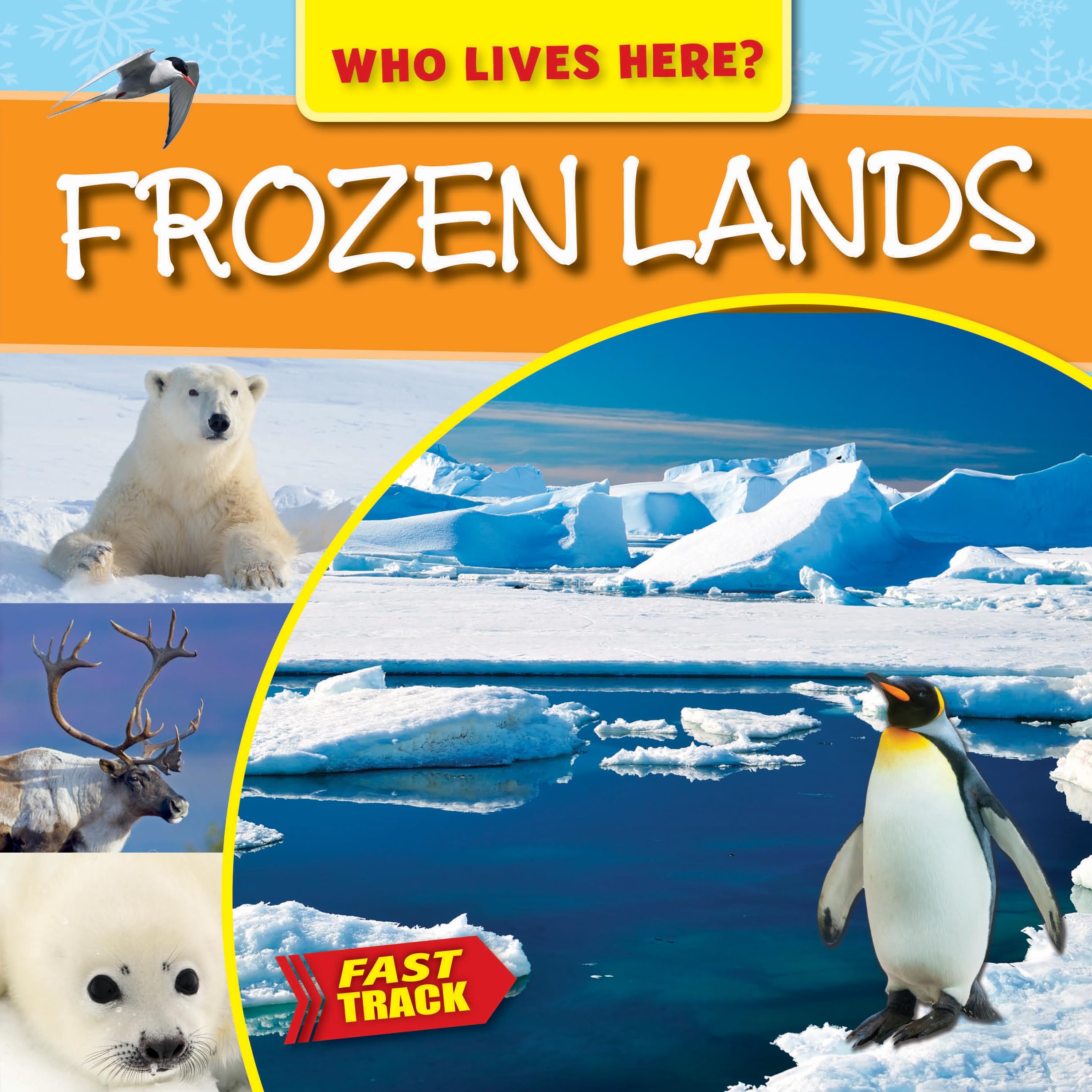 Frozen Lands (Who Lives Here?: Fast Track) Business & Technology
