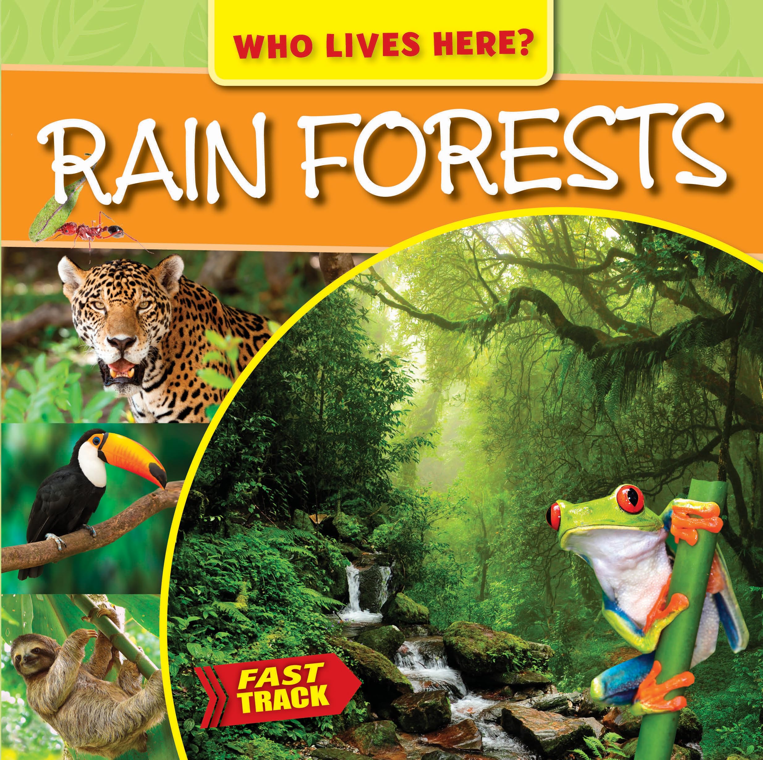 Rain Forests (Who Lives Here?) Non-fiction