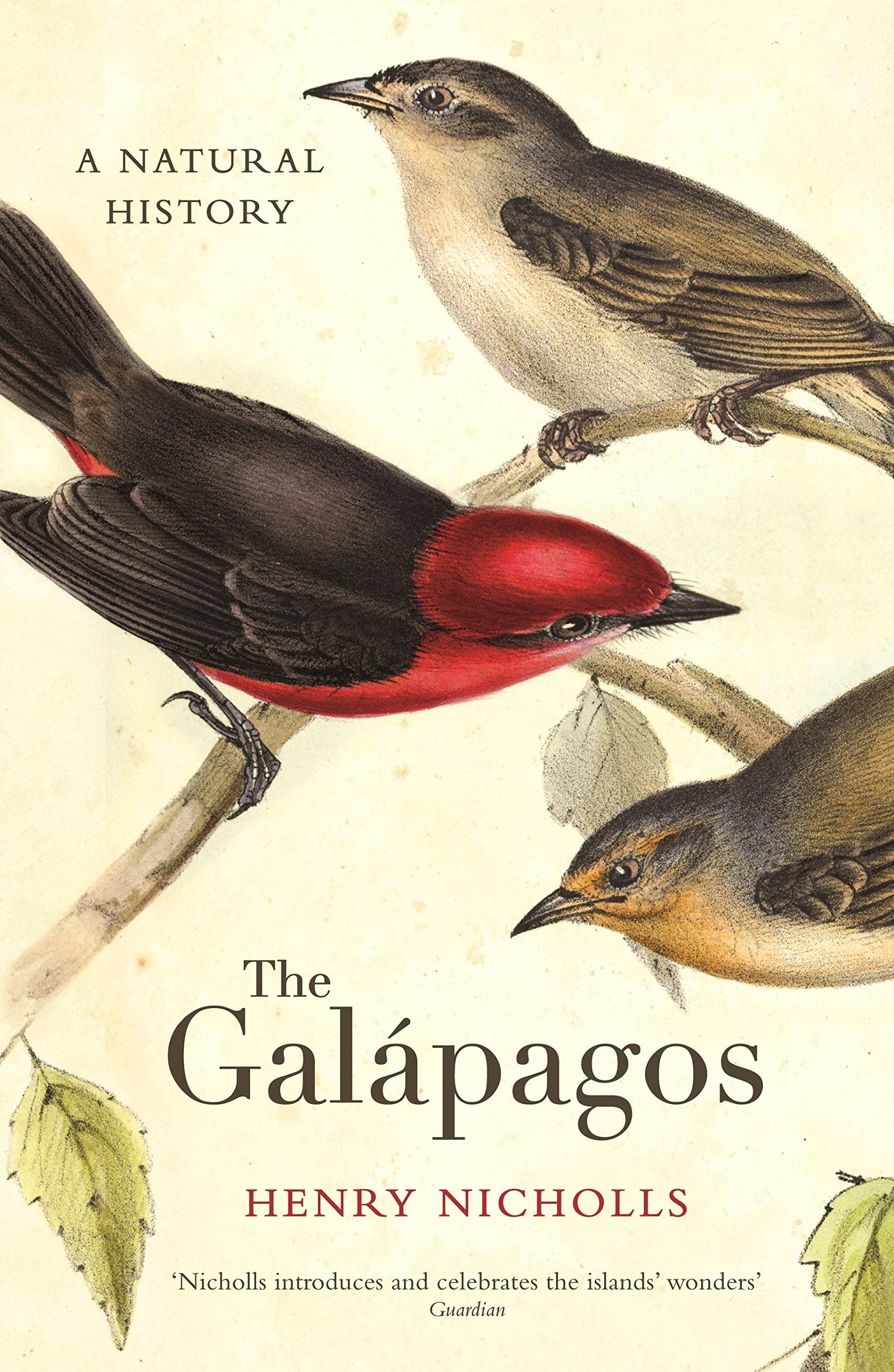 Product Image: The Galapagos