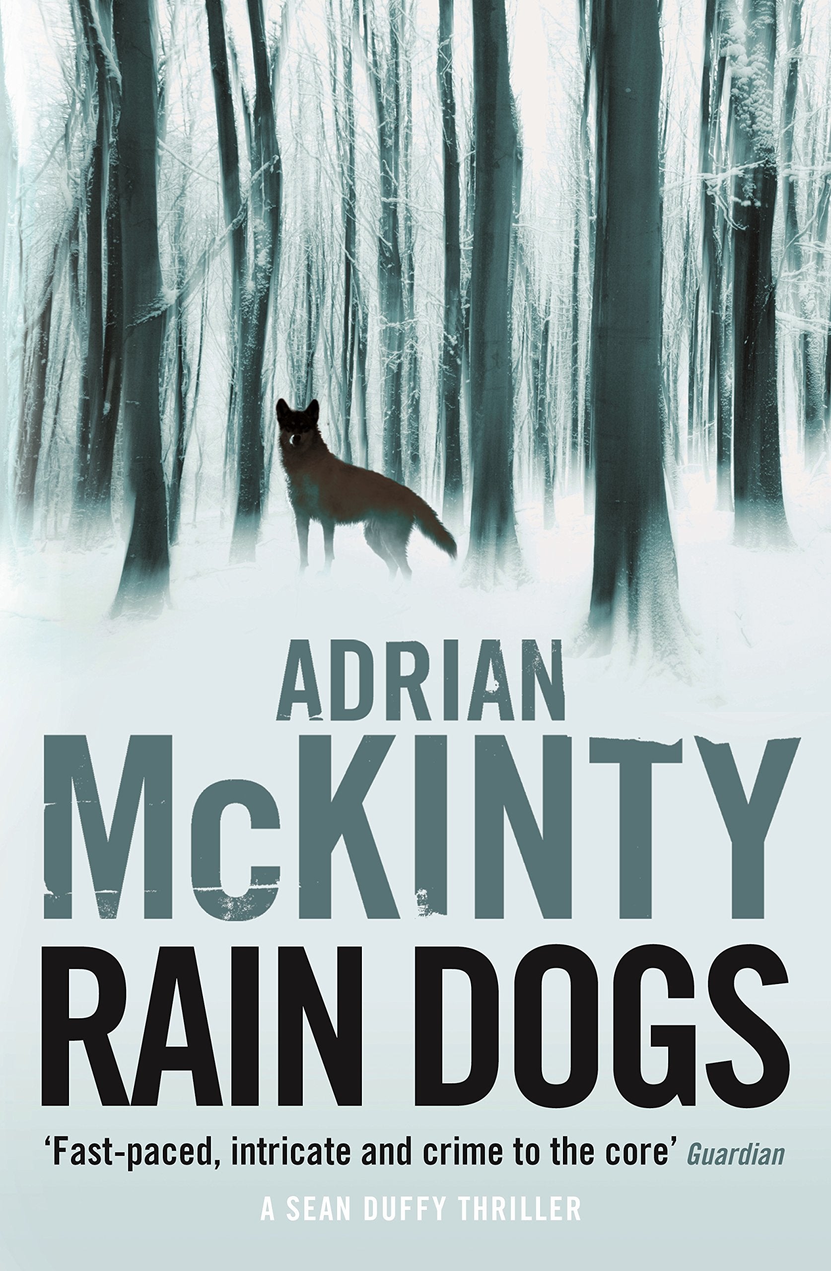 Rain Dogs (Detective Sean Duffy) Contemporary literature
