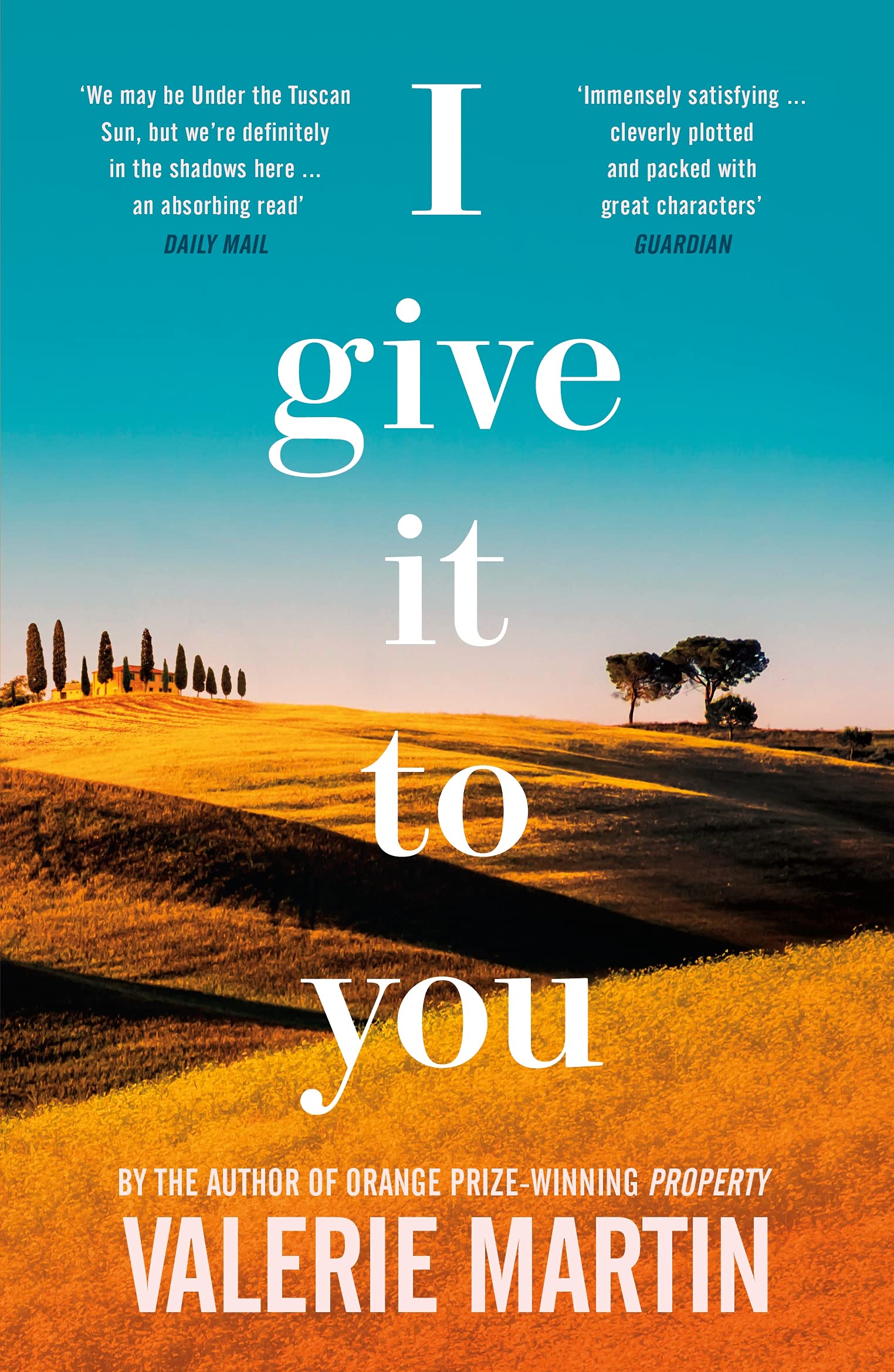 I Give It To You book