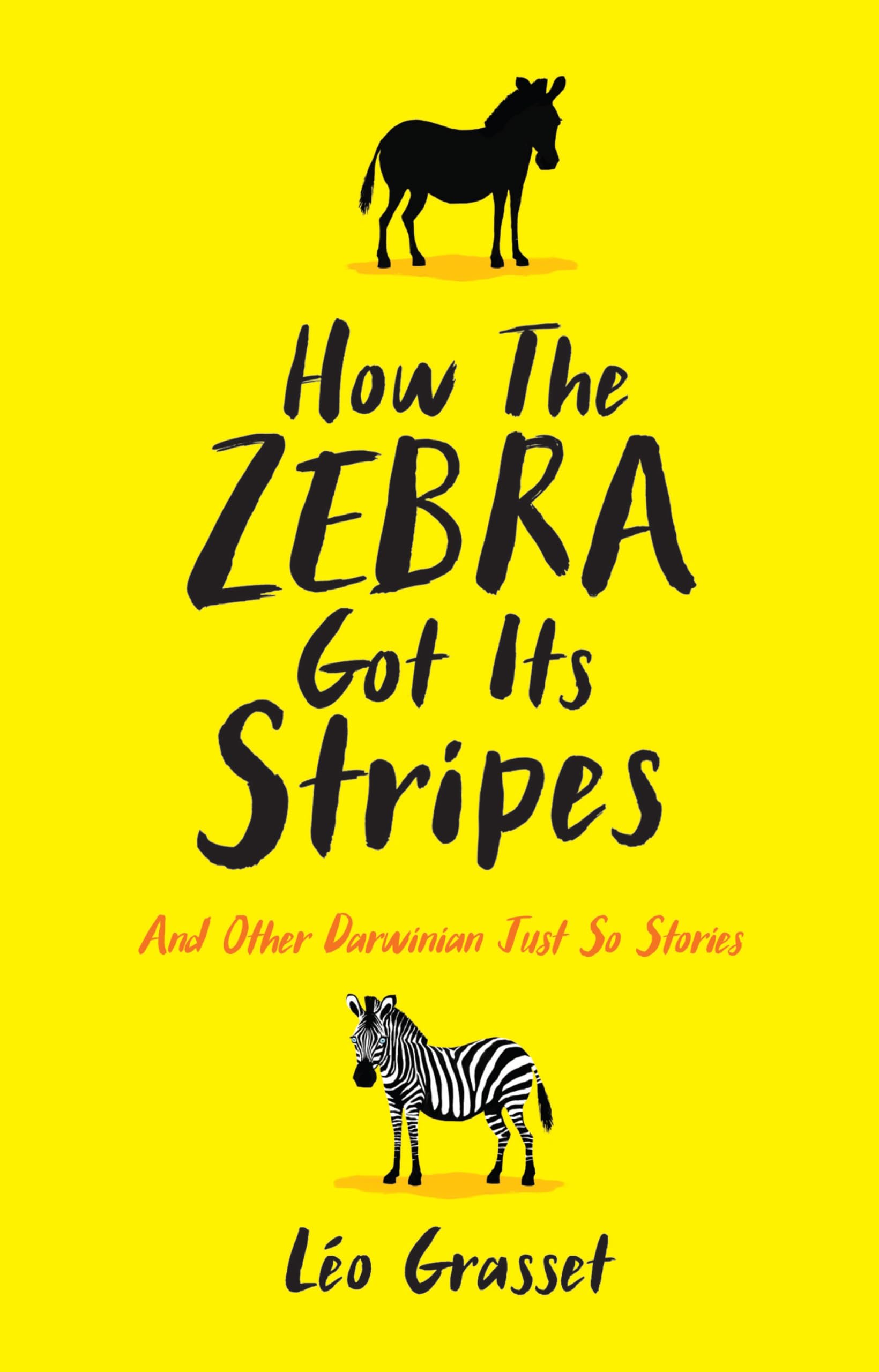 How the Zebra Got its Stripes: Tales from the Weird and Wonderful World of Evolution Mathematics