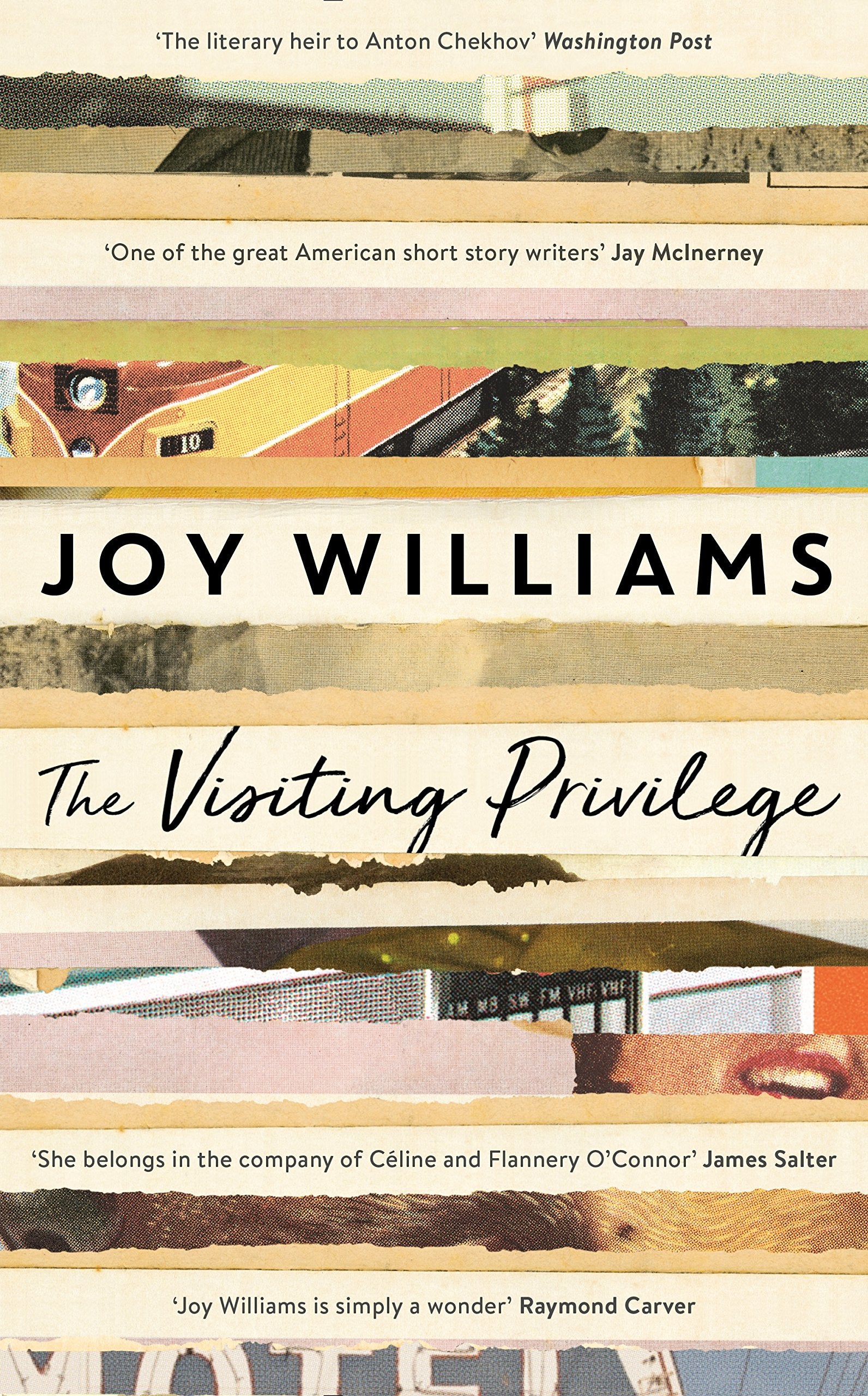 Product Image: The Visiting Privilege: New and Collected Stories