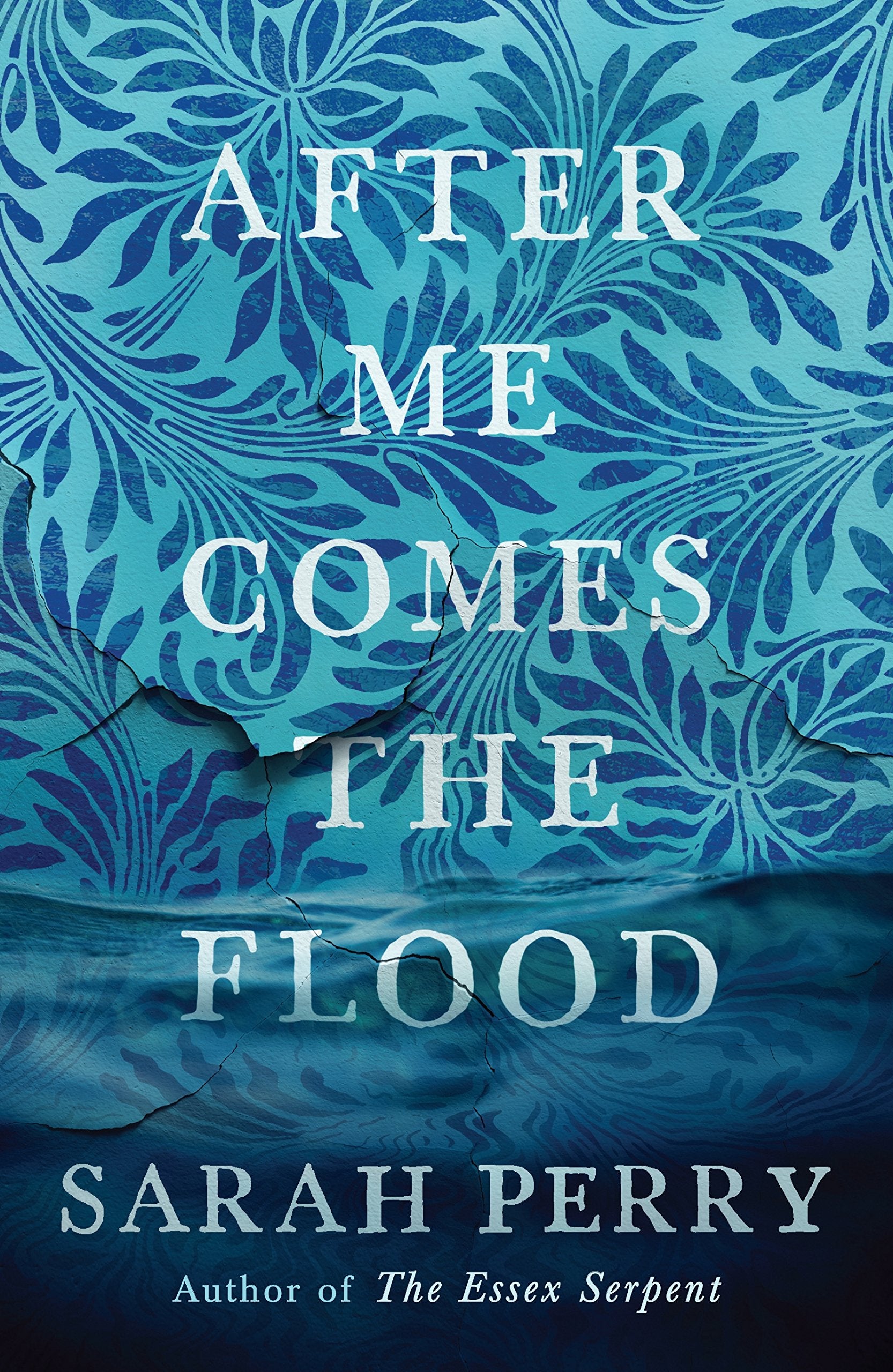 Product Image: After Me Comes the Flood