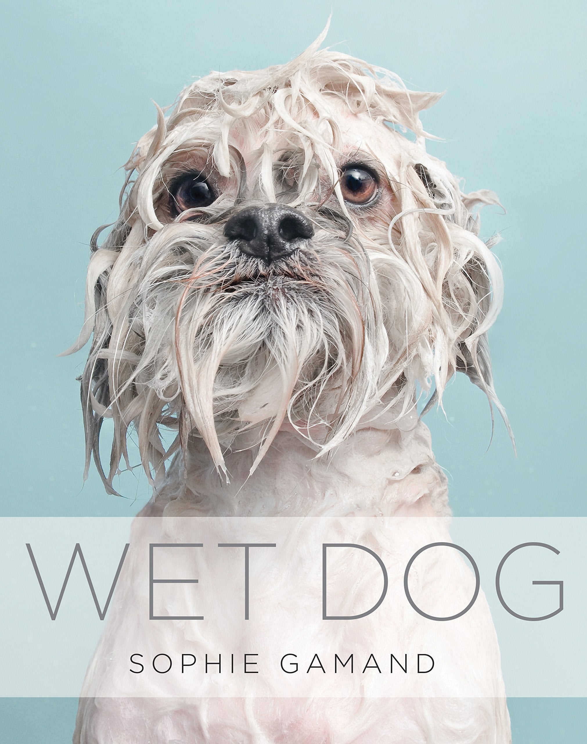 Gamand, S: Wet Dog Travel