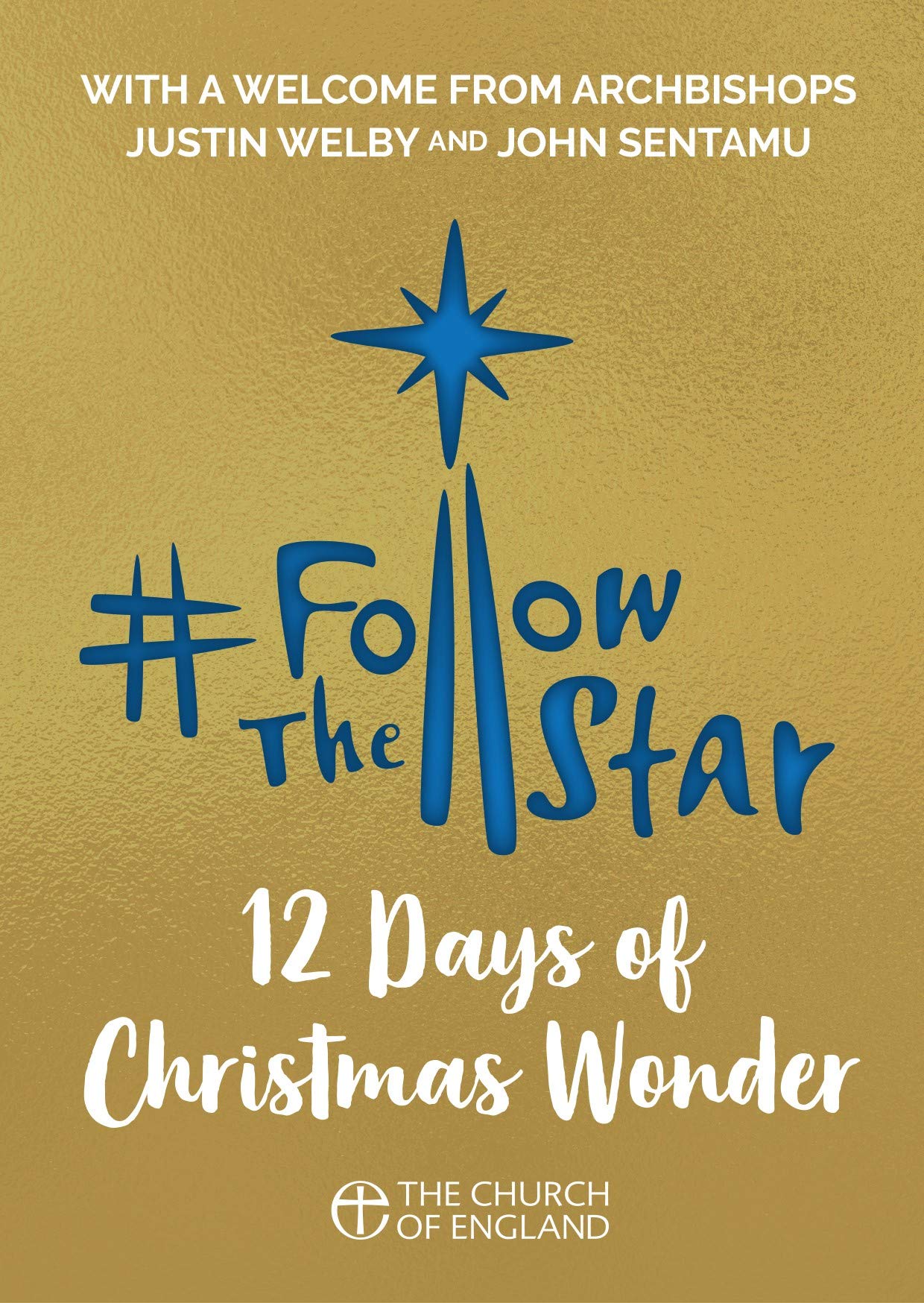 Follow the Star 2019 (Single Copy): 12 Days of Christmas Wonder Social Sciences