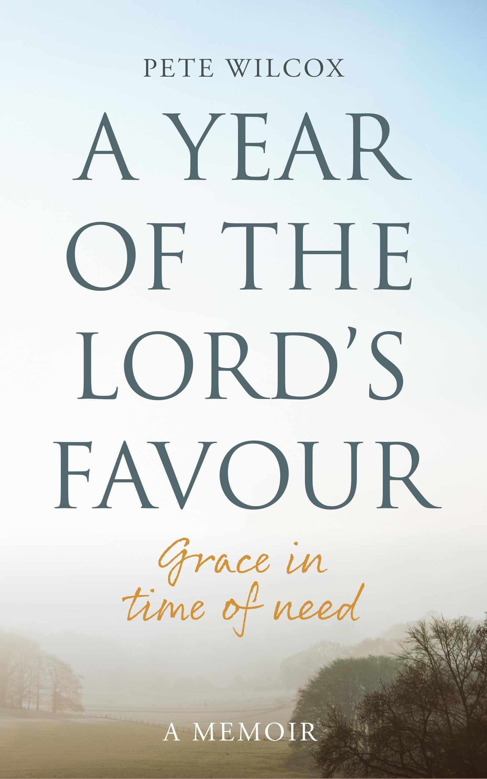 A Year of the Lord's Favour Politics & Society