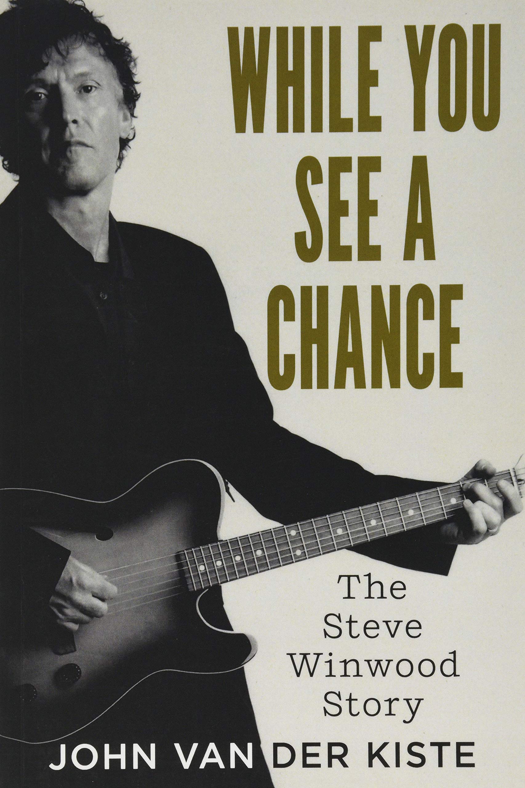 While You See A Chance: The Steve Winwood Story Social Sciences