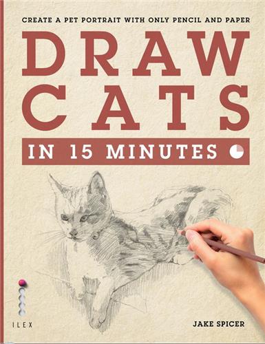 Product Image: Draw Cats in 15 Minutes