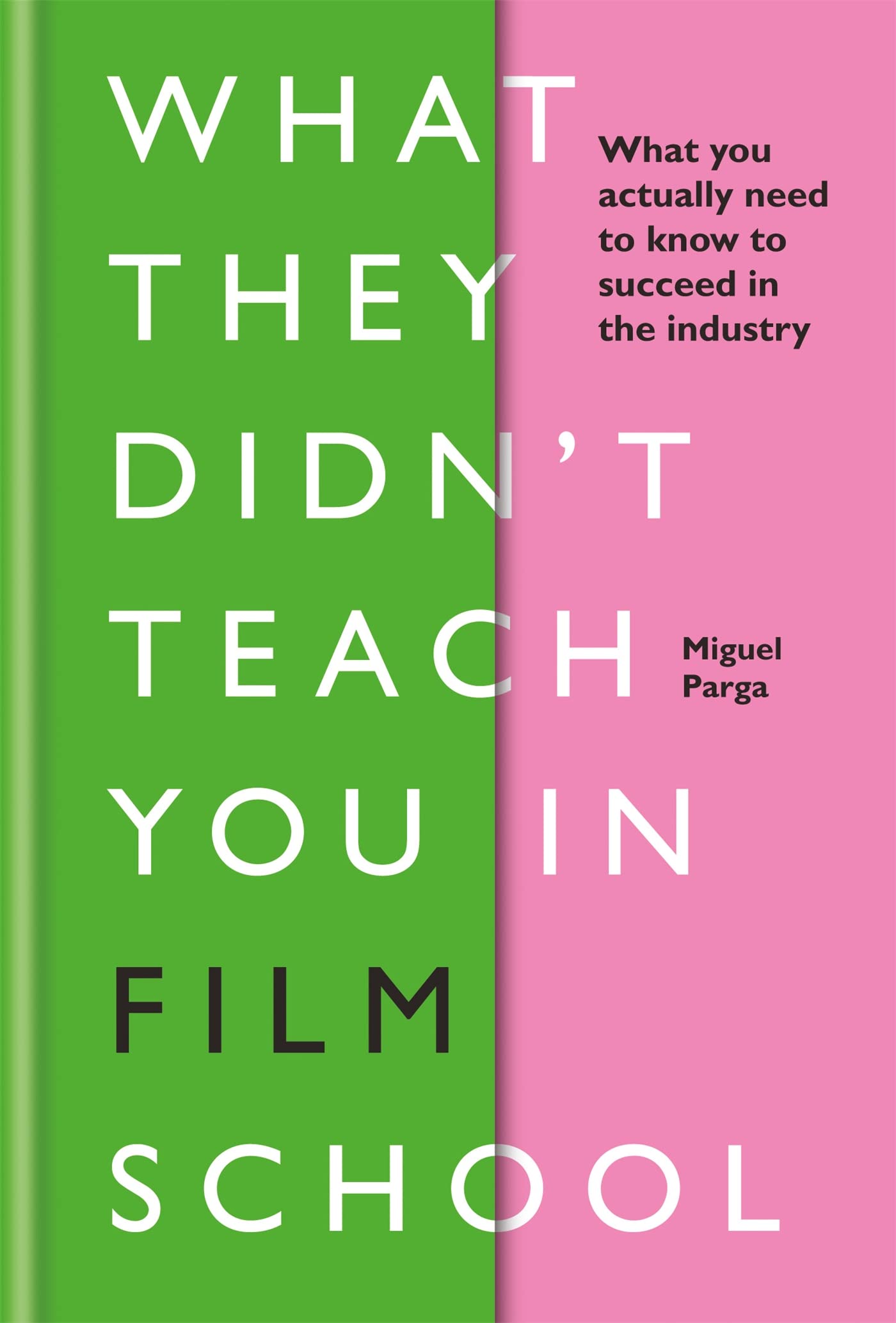 What They Didn't Teach You in Film School book