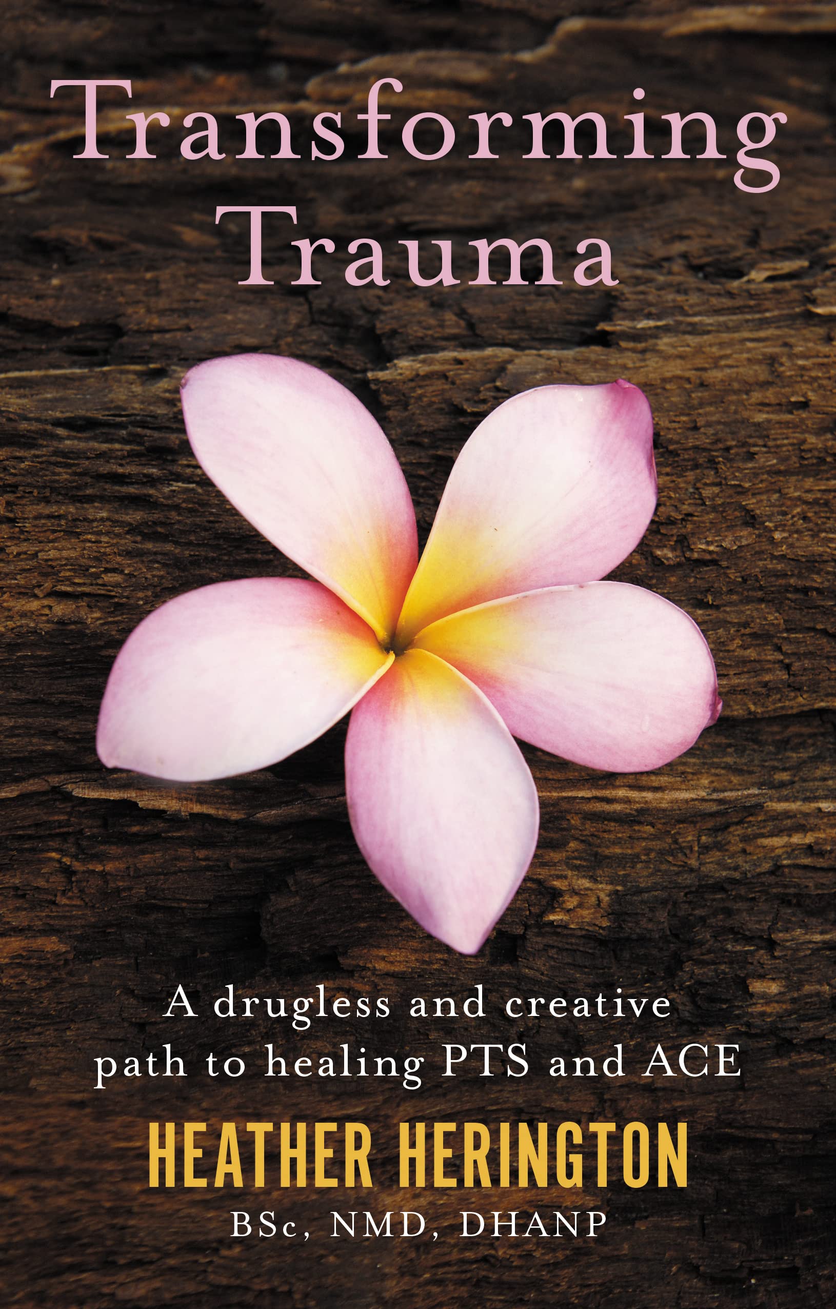 Transforming Trauma: A Drugless and Creative Path to Healing PTS and ACE book