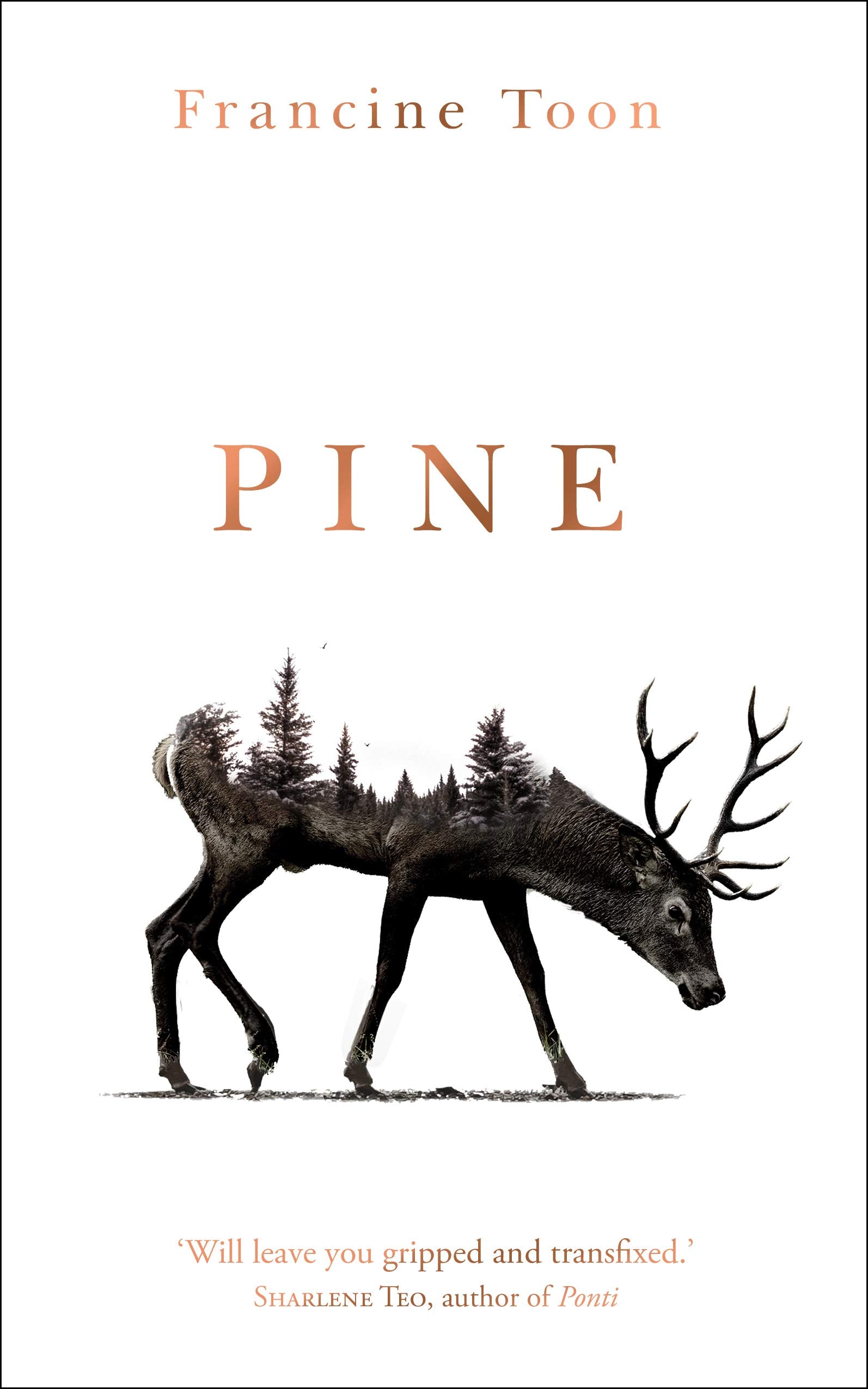 Pine: The spine-chilling Sunday Times bestseller book