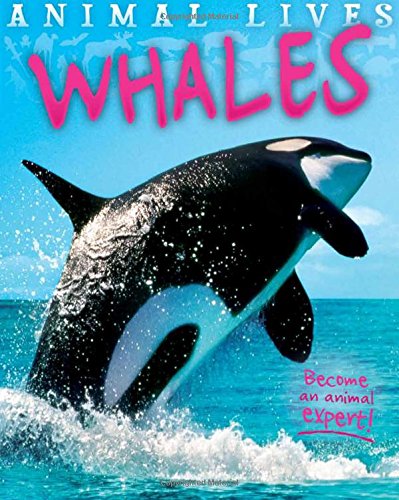 Animal Lives: Whales book