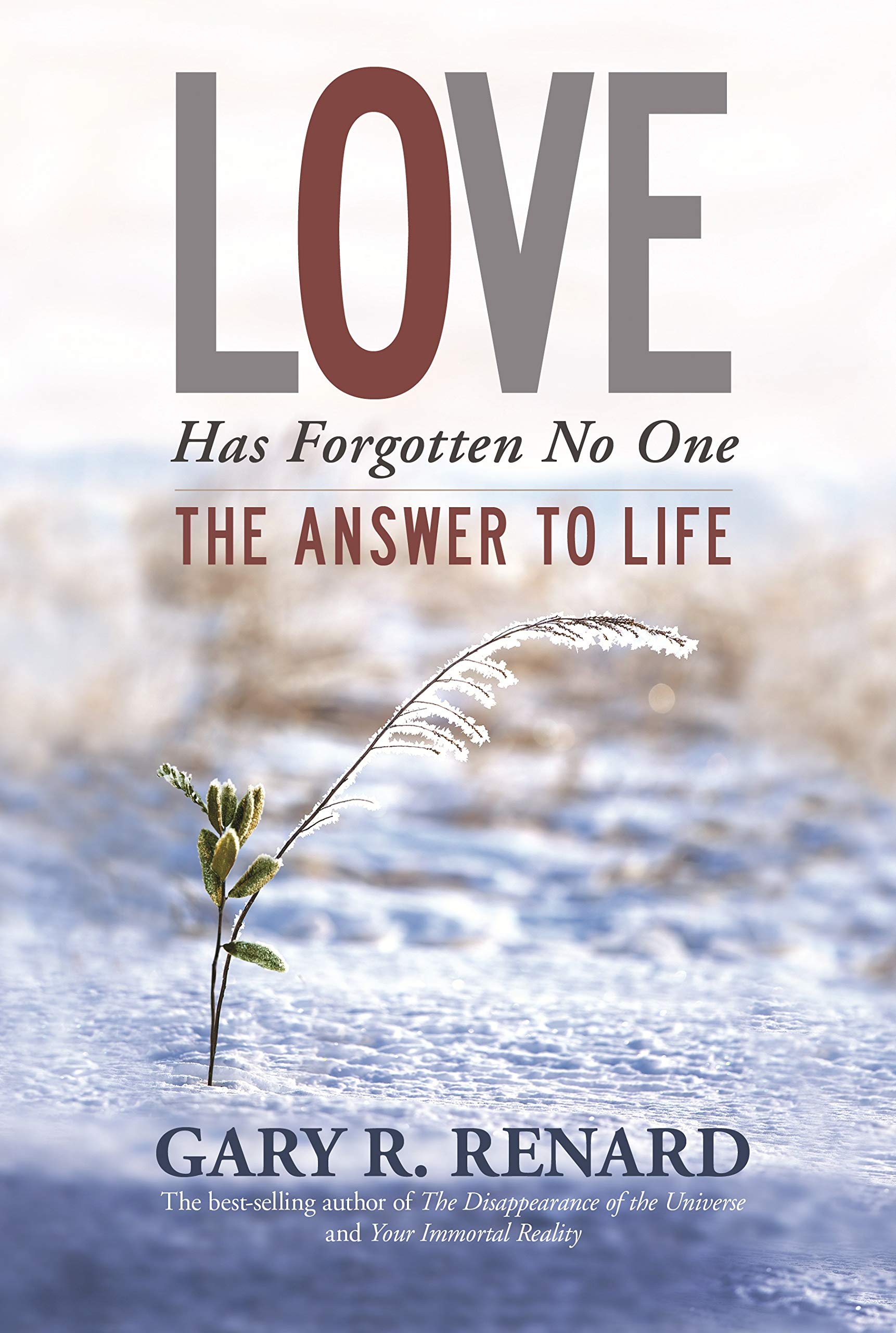 Love Has Forgotten No One: The Answer to Life book