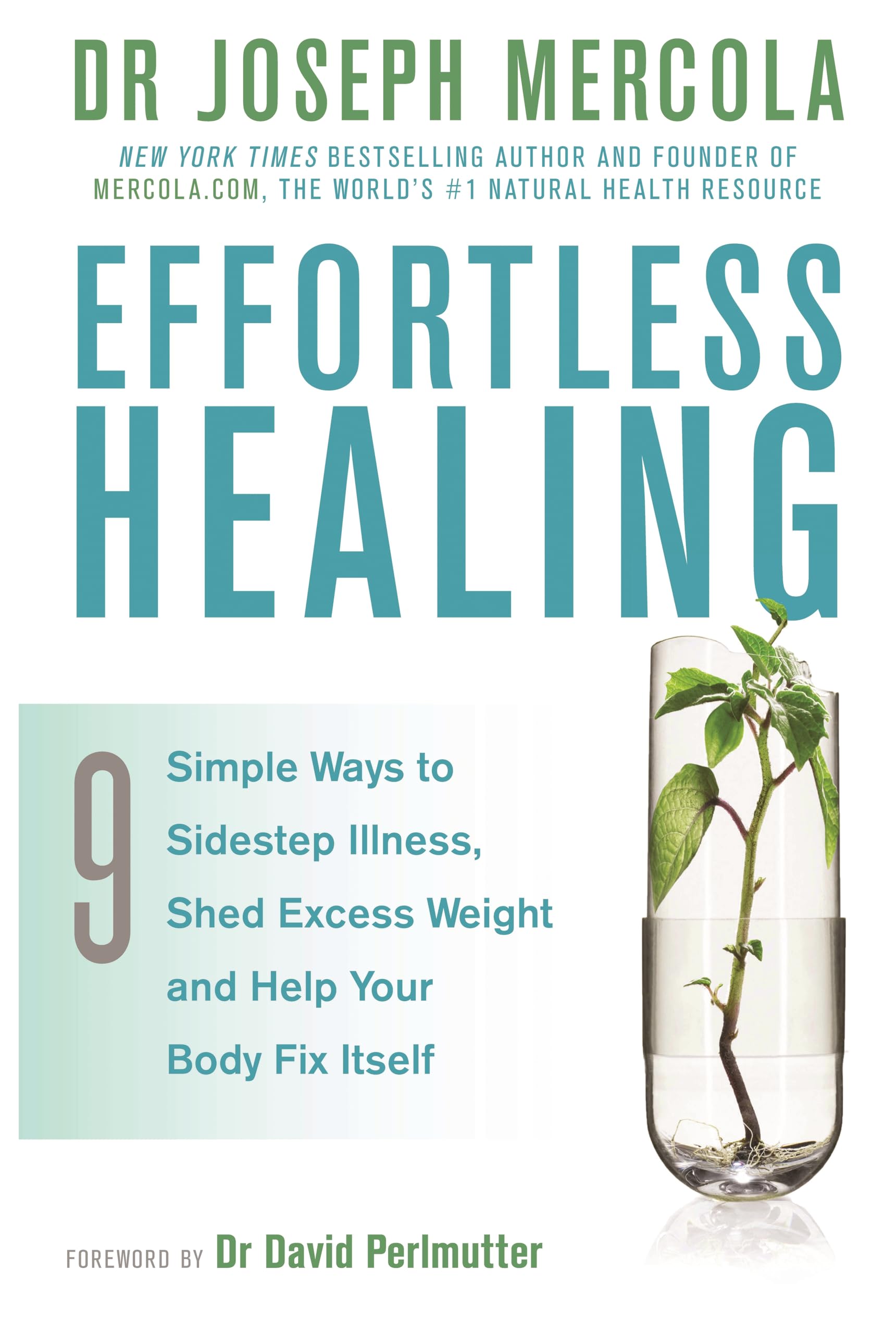 Product Image: Effortless Healing
