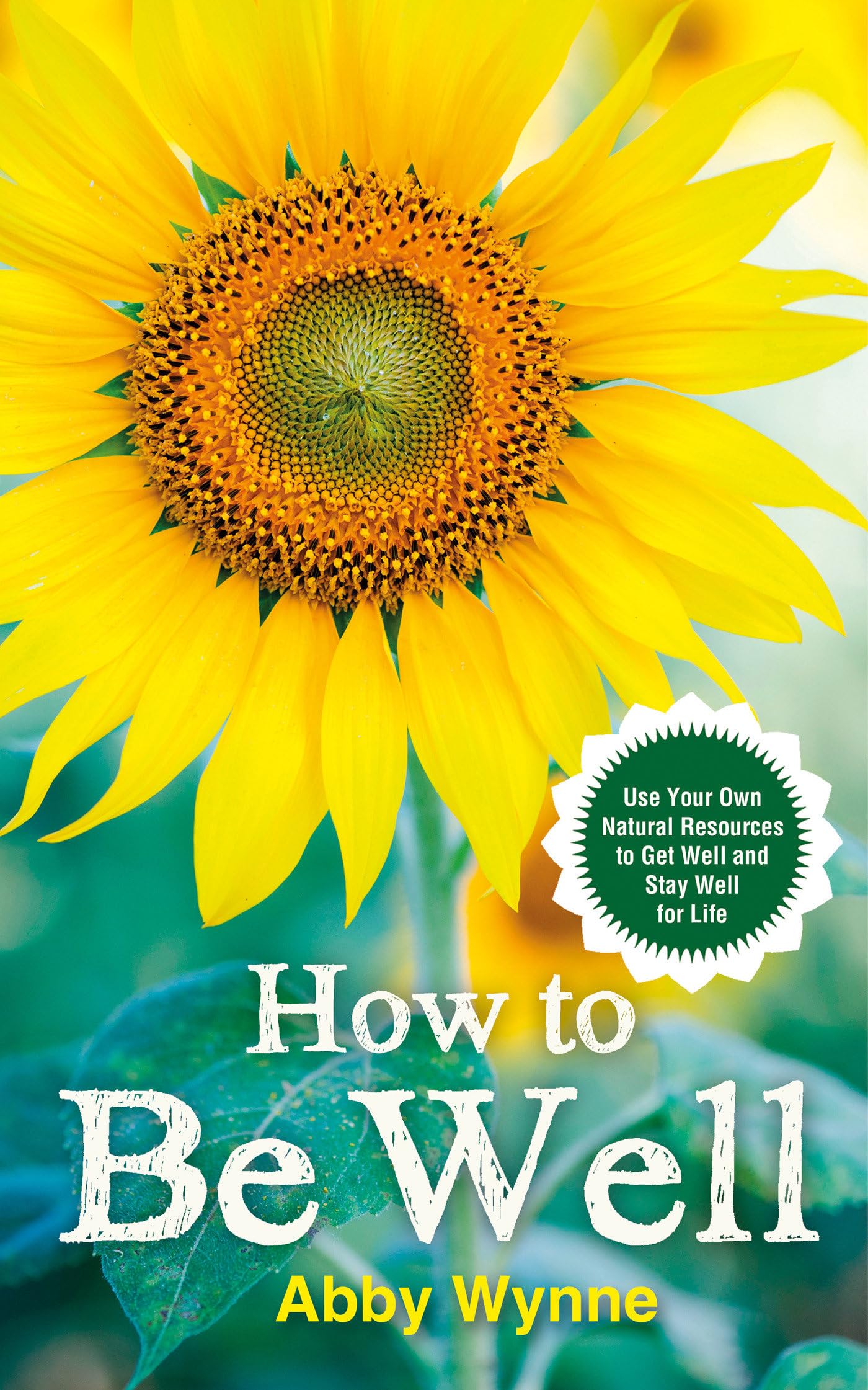 How to Be Well: Use Your Own Natural Resources to Get Well and Stay Well for Life Religion & Esotericism