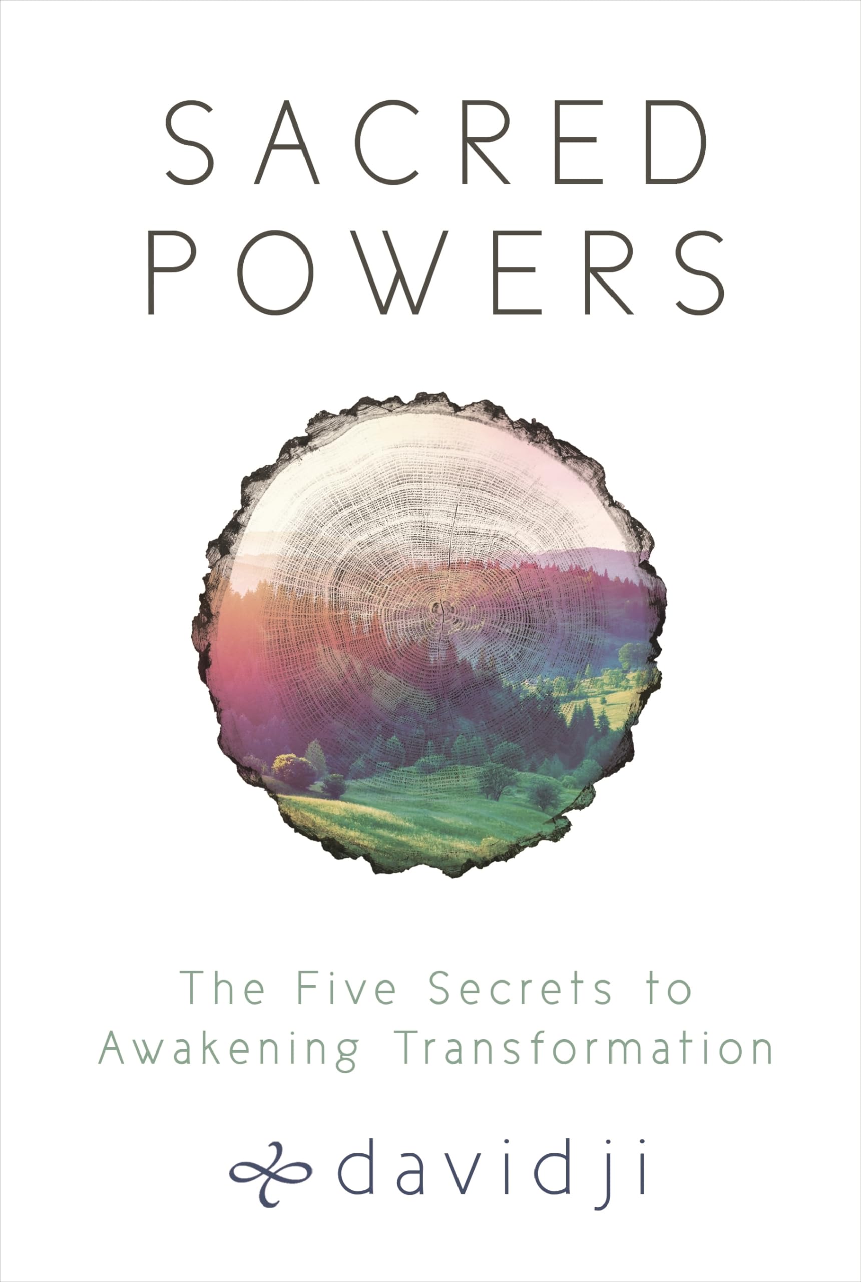 Sacred Powers: The Five Secrets to Awakening Transformation Business, Finance & Career