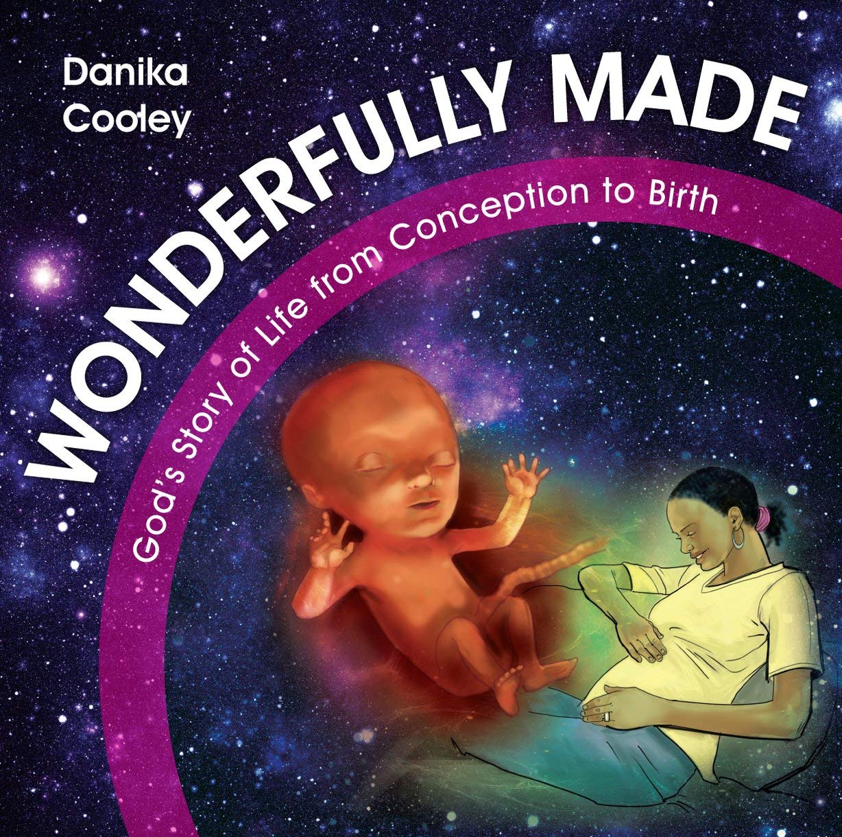 Wonderfully Made: God's Story of Life from Conception to Birth Non-fiction