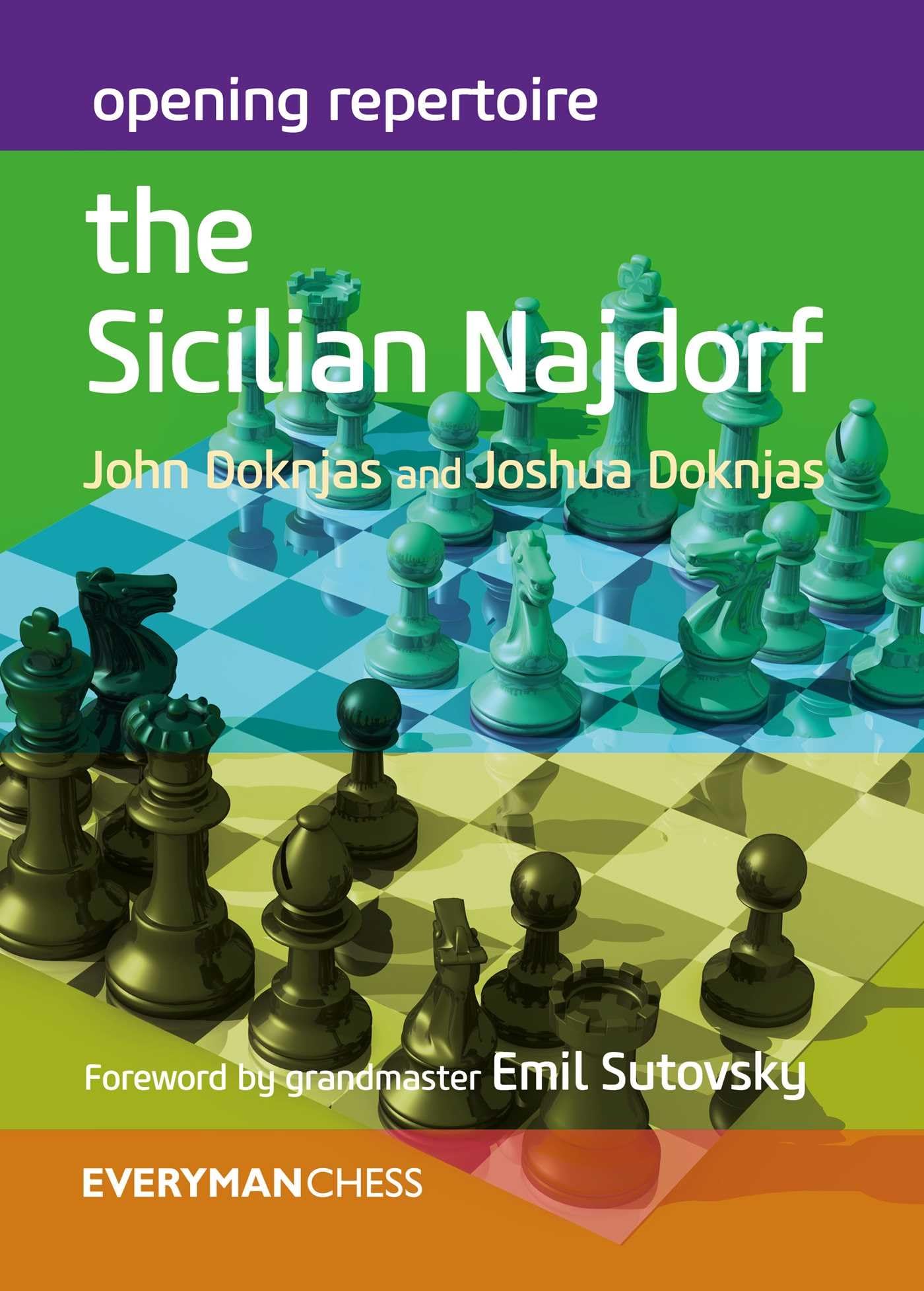 Opening Repertoire: The Sicilian Najdorf Leisure & Fun