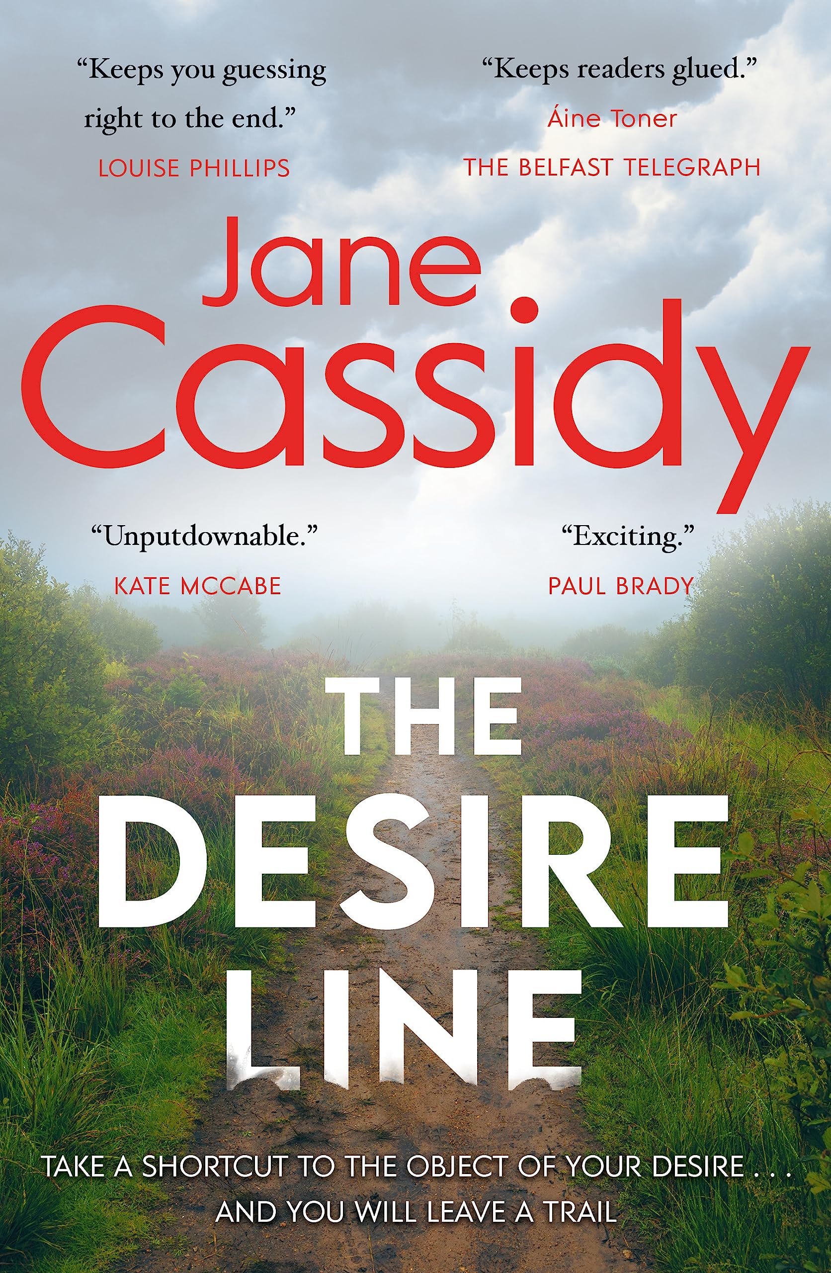 The Desire Line: A Gripping Irish Psychological Thriller Contemporary literature