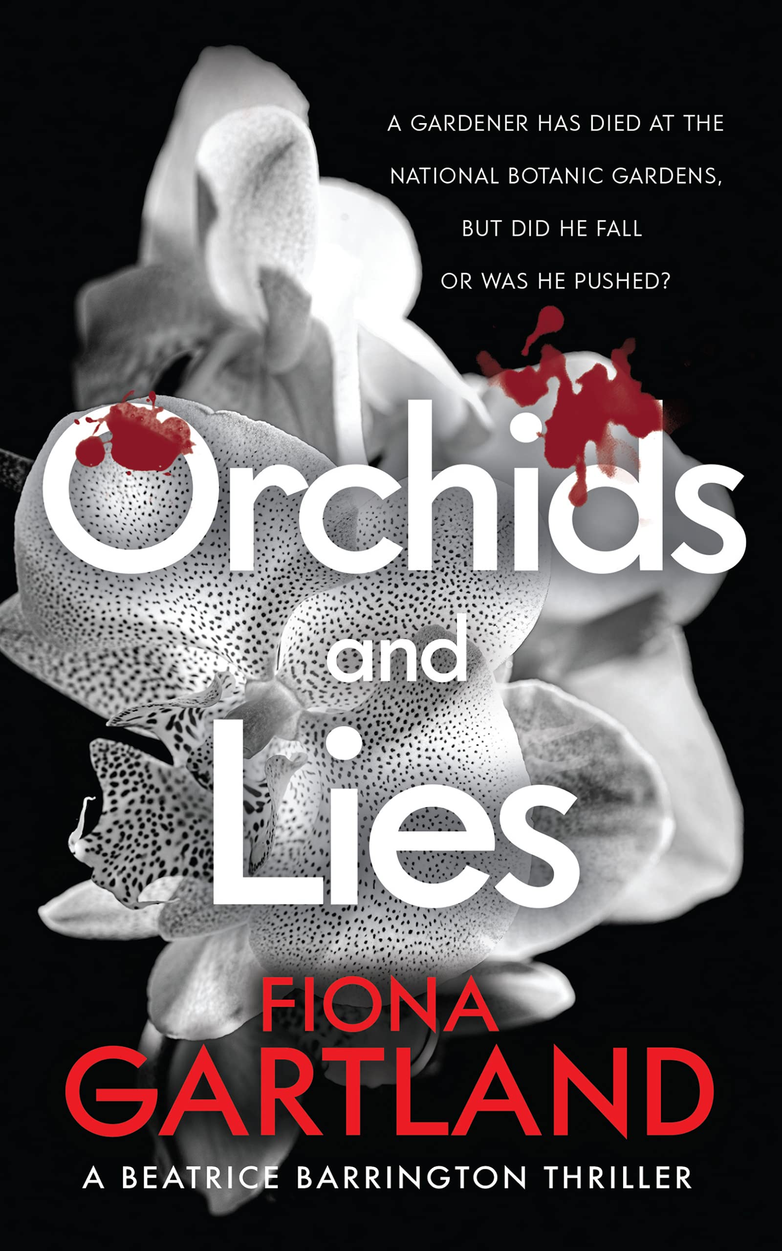 Orchids And Lies: An intriguing Irish thriller that will keep you guessing to the end.: 1 Action & Adventure