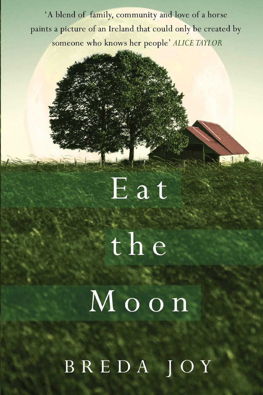 Eat the Moon Contemporary literature Books