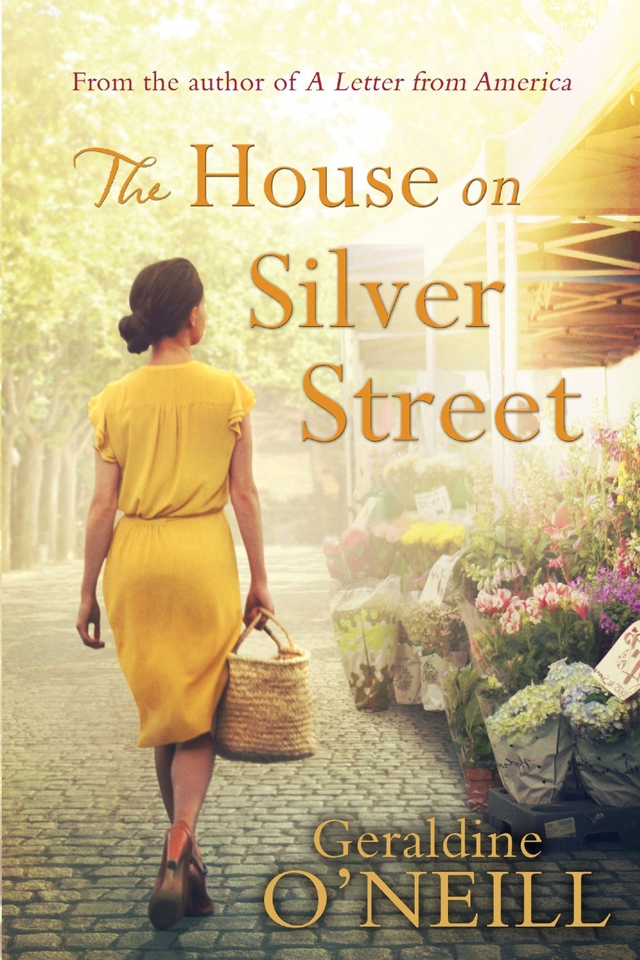 The House on Silver Street book