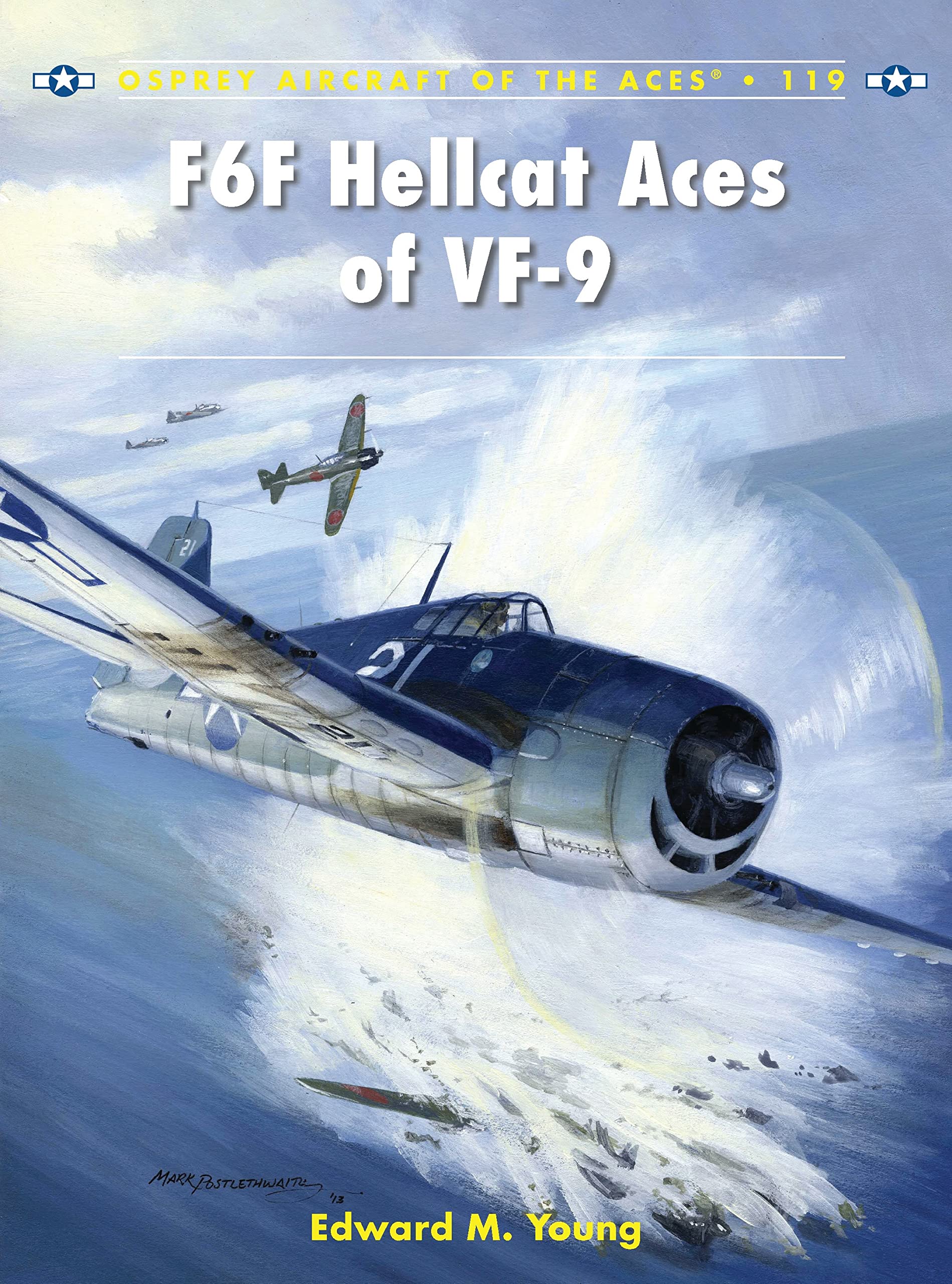 F6F Hellcat Aces of VF-9 (Aircraft of the Aces, Band 119) Social Sciences